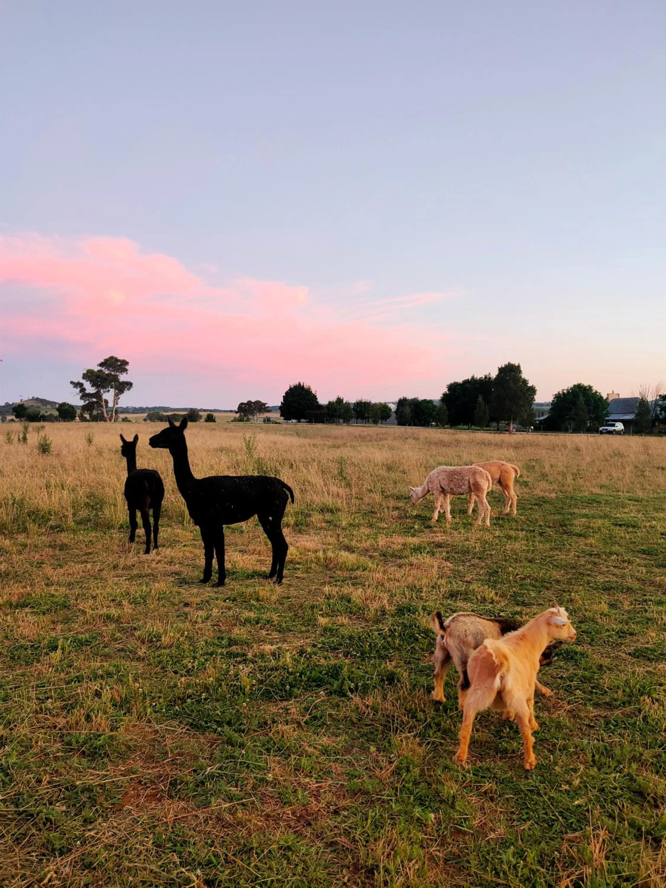 Garden in Owl Head Lodge