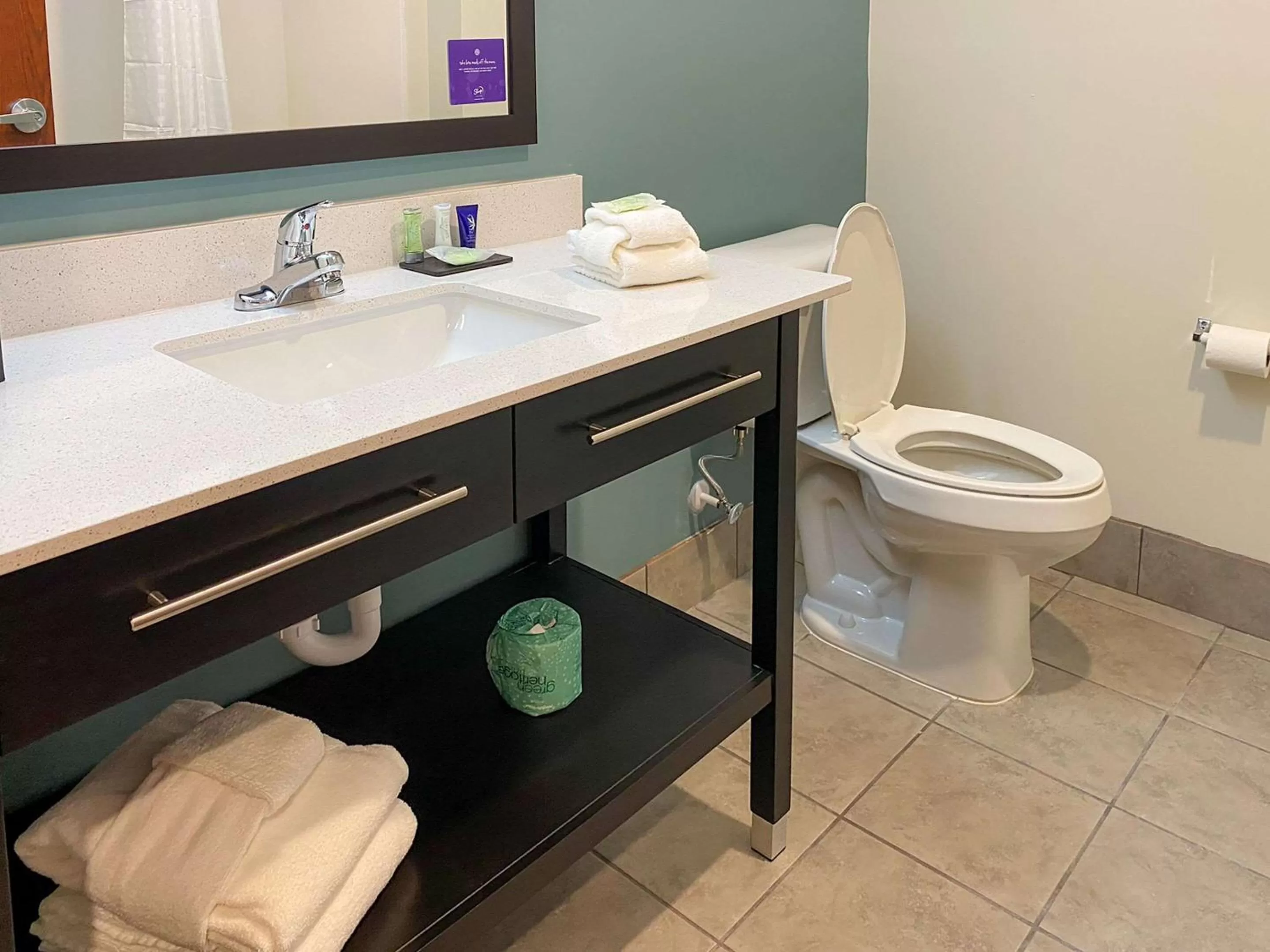 Bathroom in Sleep Inn Greensboro - Coliseum Area