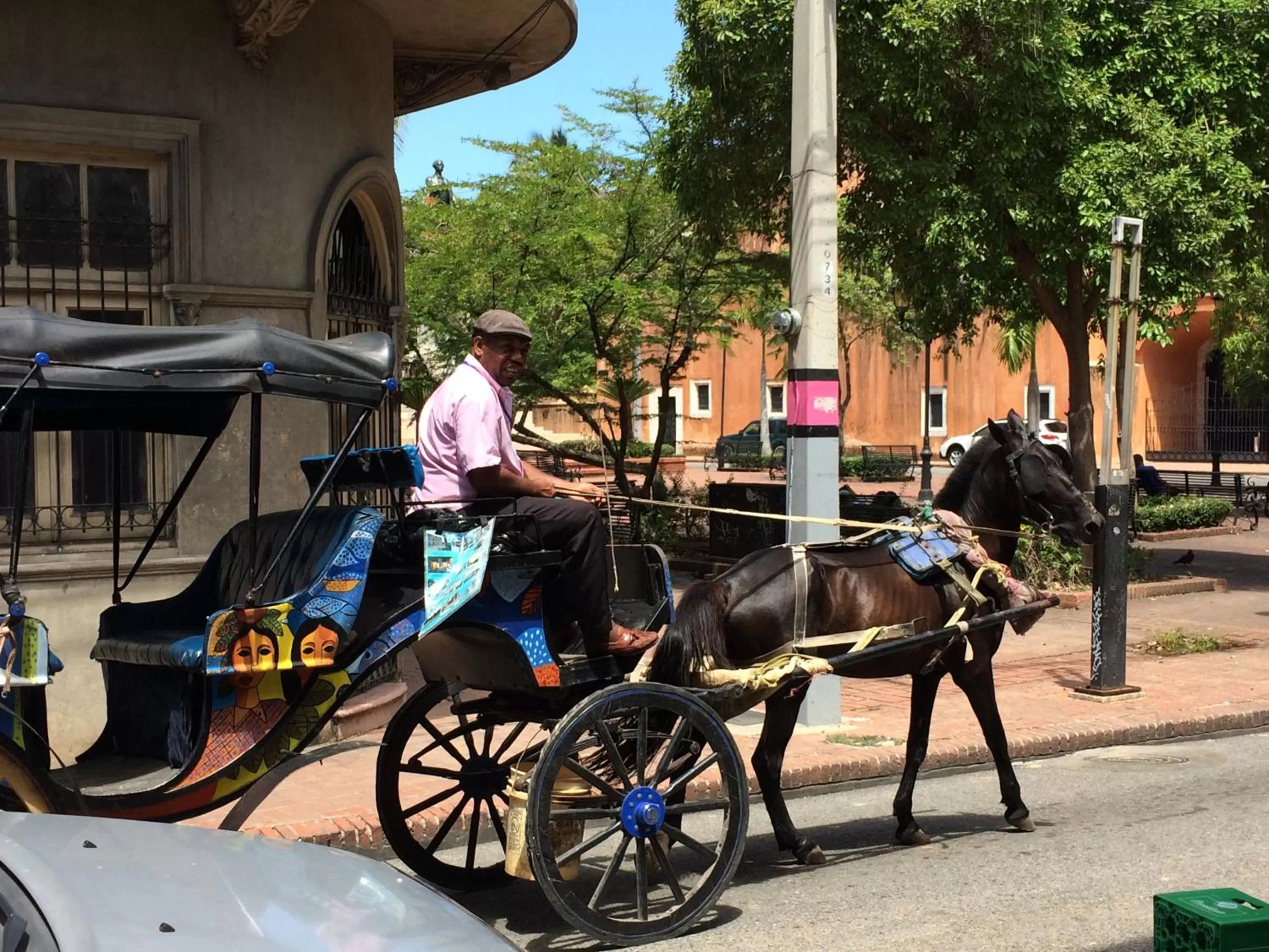 Day in El Beaterio Casa Museo