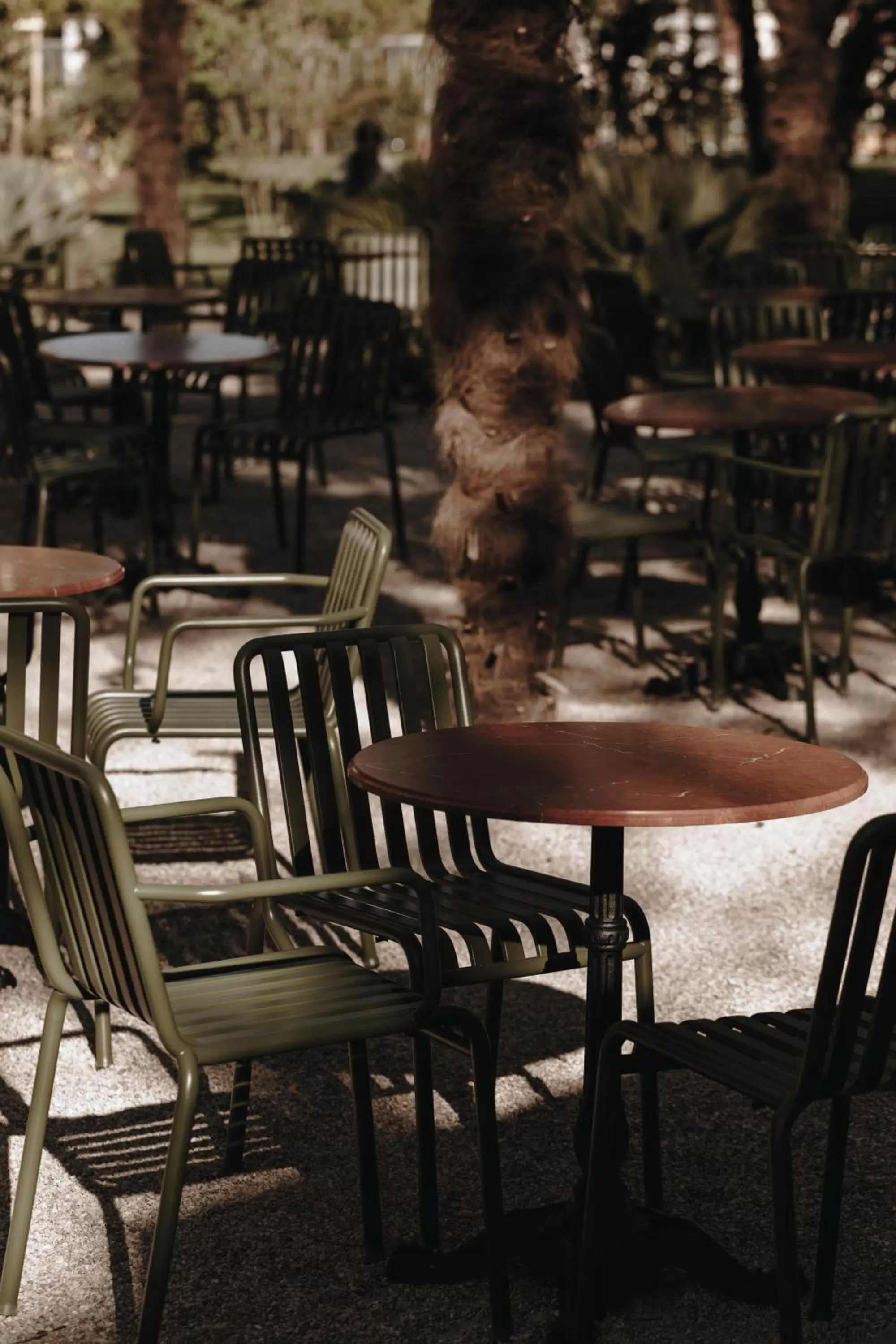 Restaurant/places to eat in Parkhotel Mondschein, a Member of Design Hotels