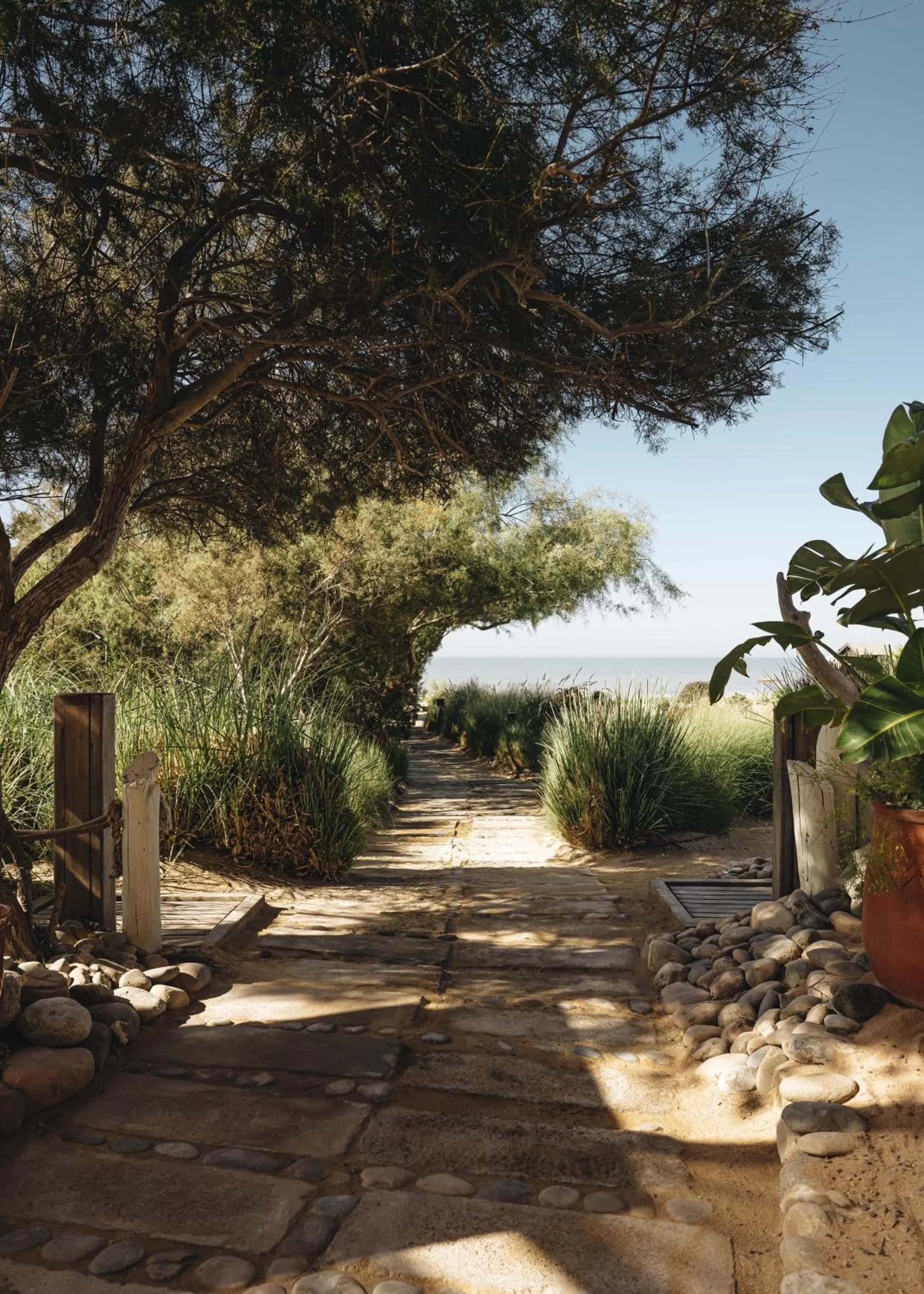 Garden in Paradis Plage Surf Yoga & Spa