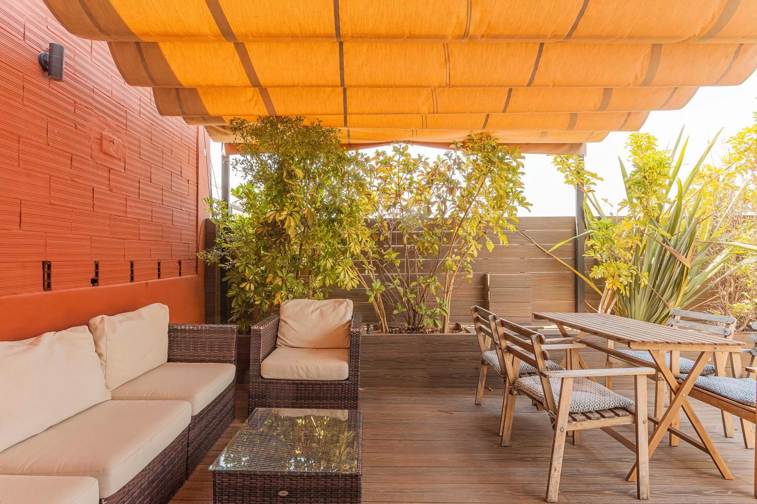 Garden in Bird House