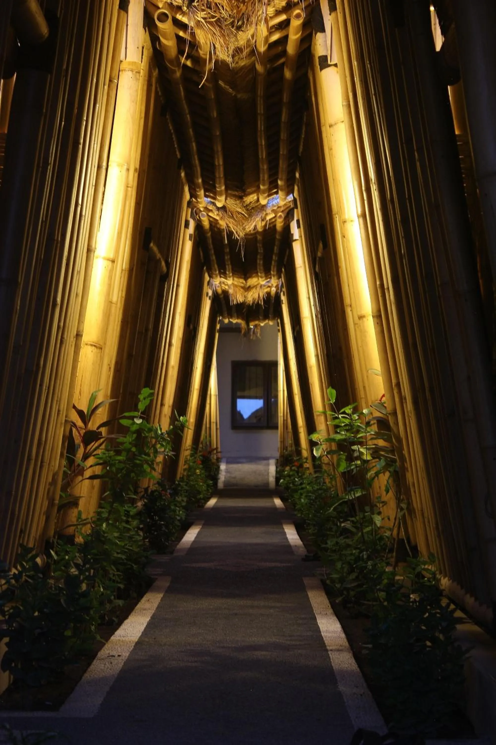 Other in Vamana Resort - CHSE Certified