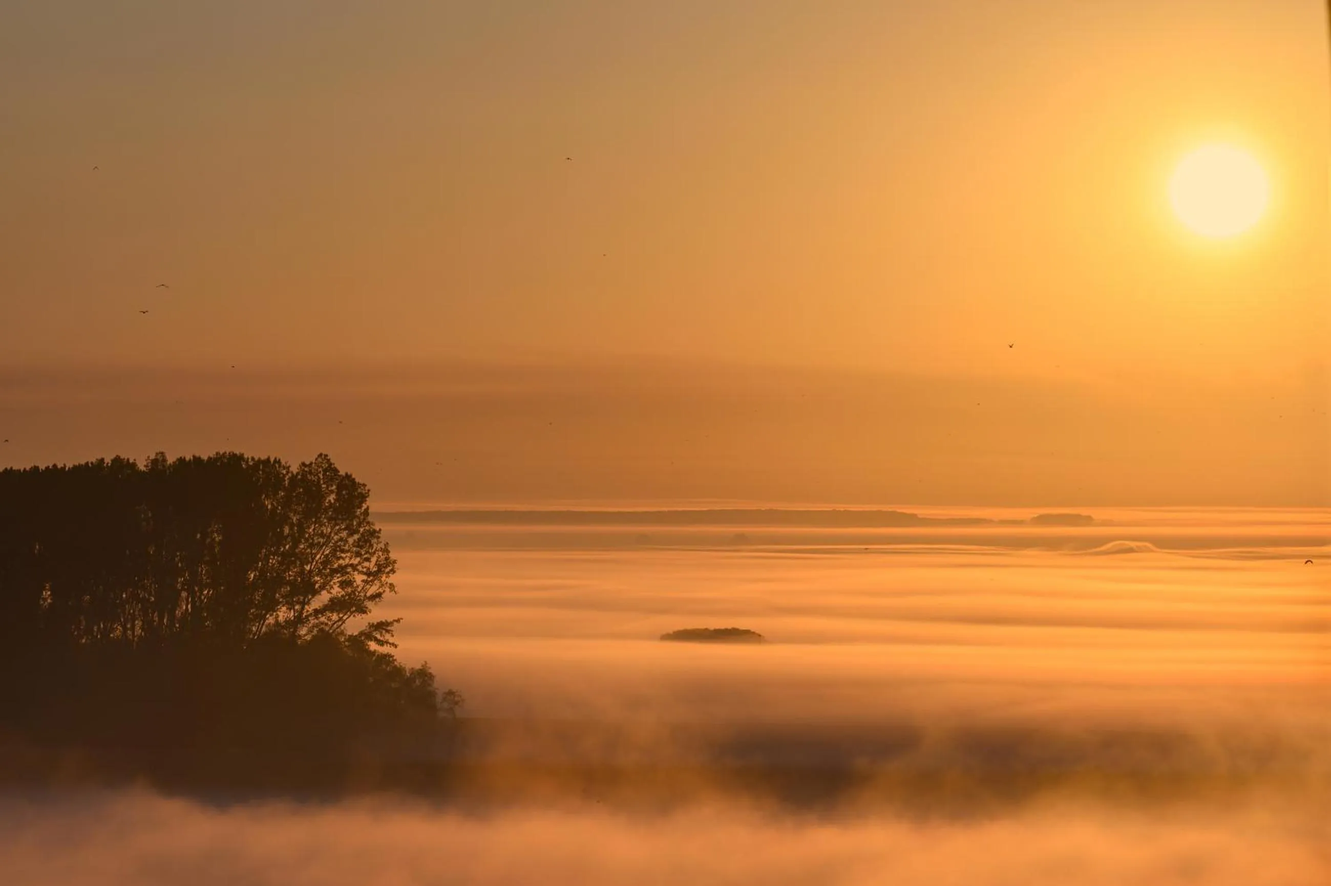View (from property/room) in Vega Hotel