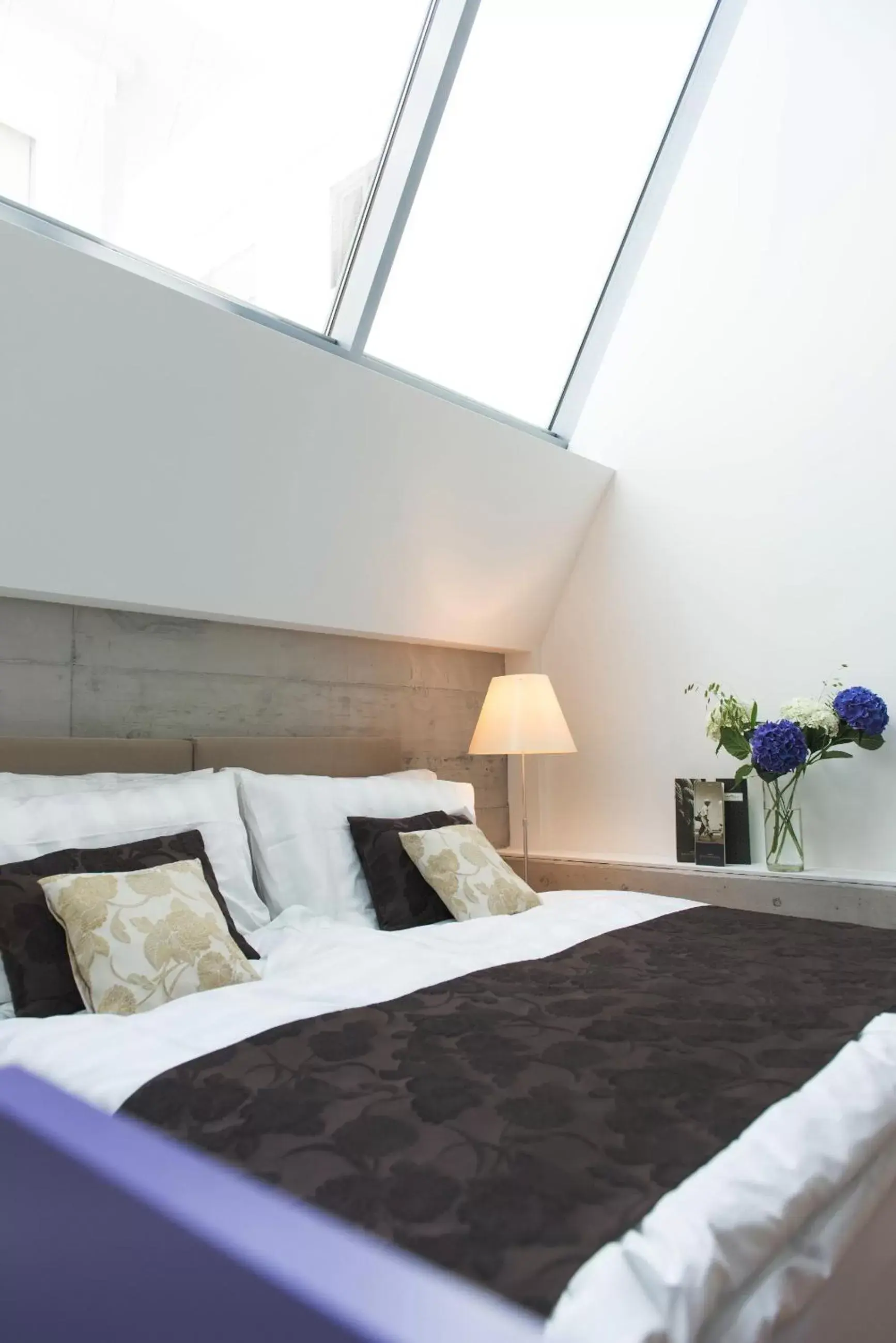 Deluxe Twin Room - single occupancy in Barracuda Deluxe Twin Room - single occupancy in Barracuda