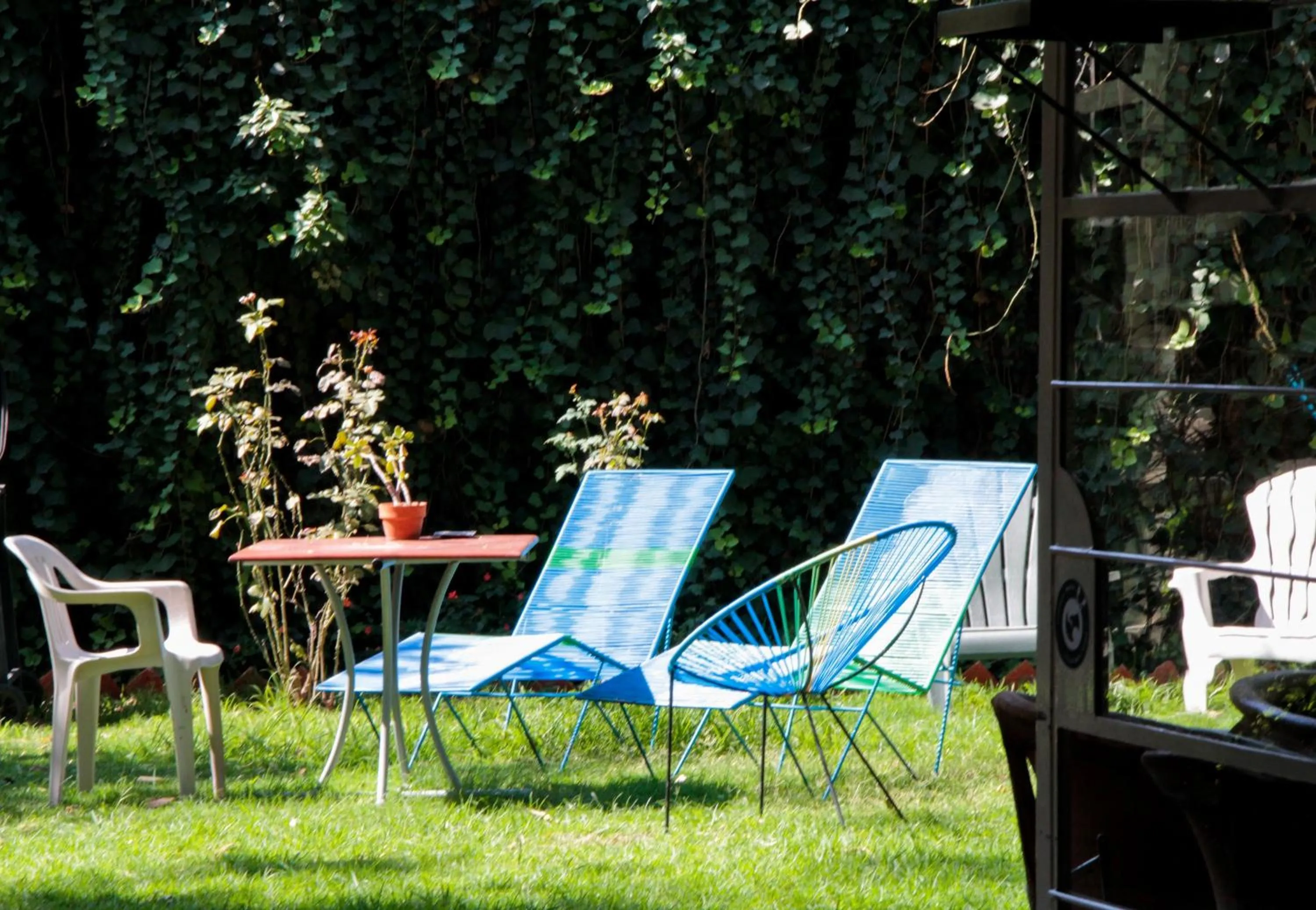Garden in Hostel Hospedarte Chapultepec
