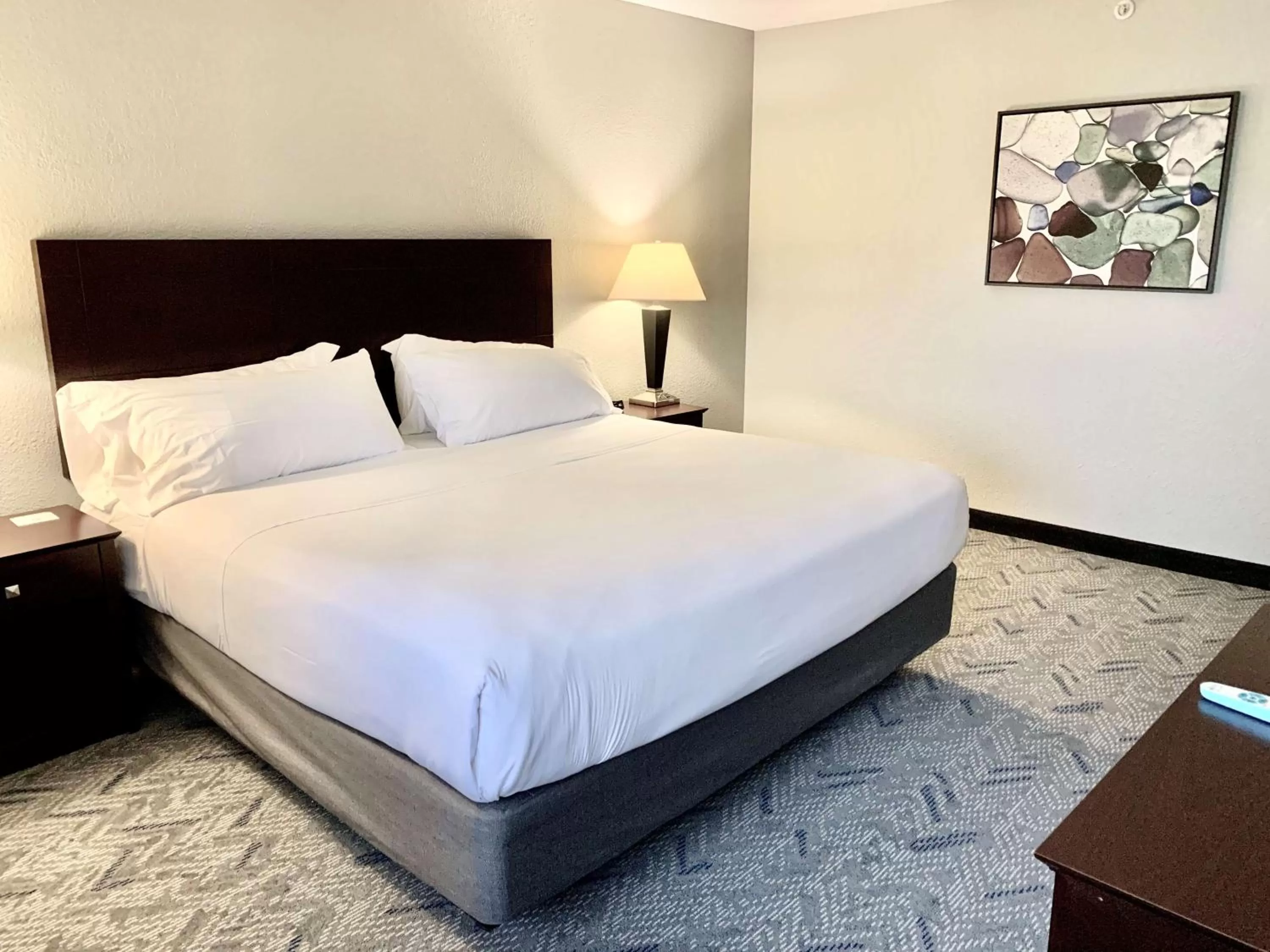 Photo of the whole room, Bed in Best Western Oswego Hotel