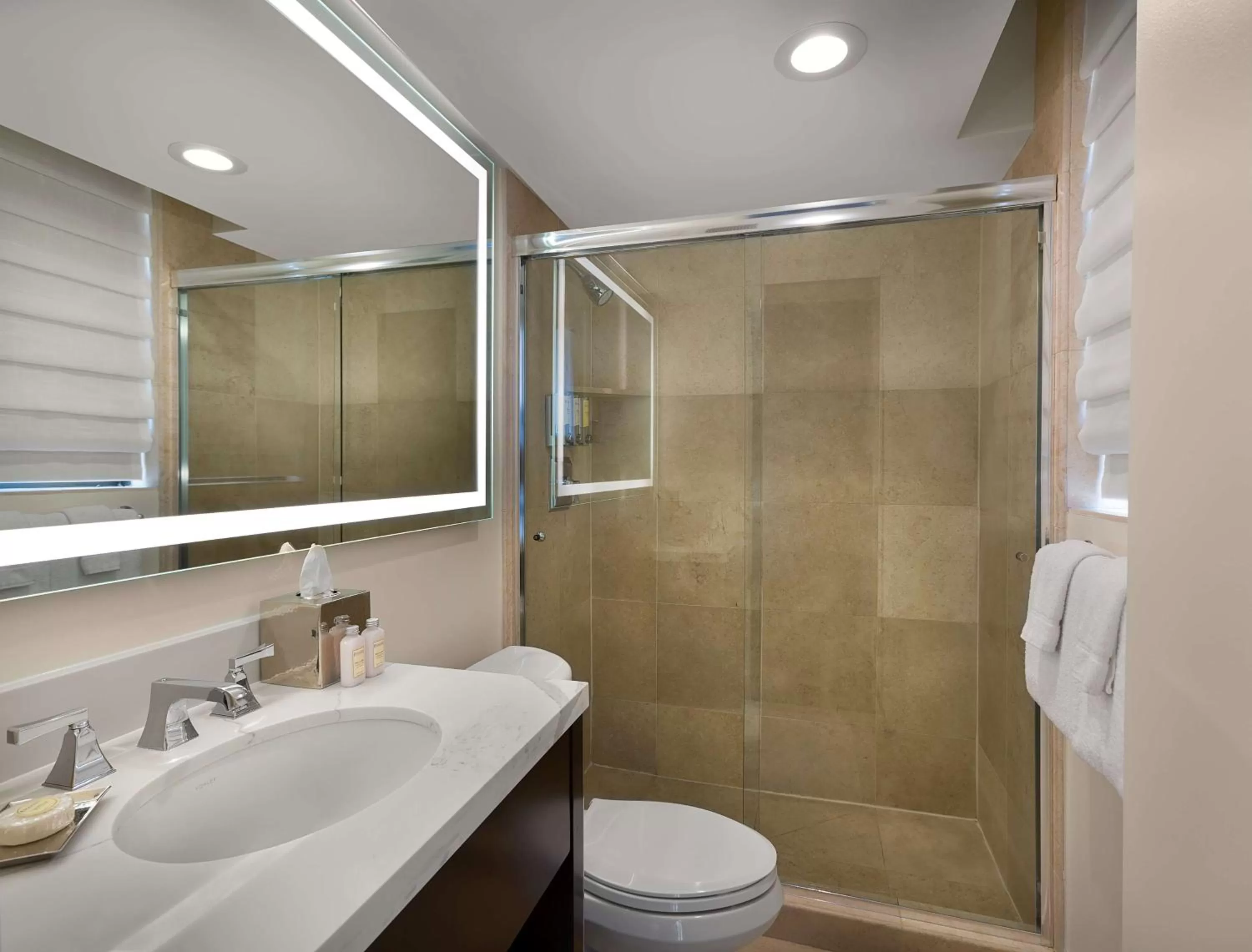 Bathroom in The Royal Sonesta Chase Park Plaza St Louis