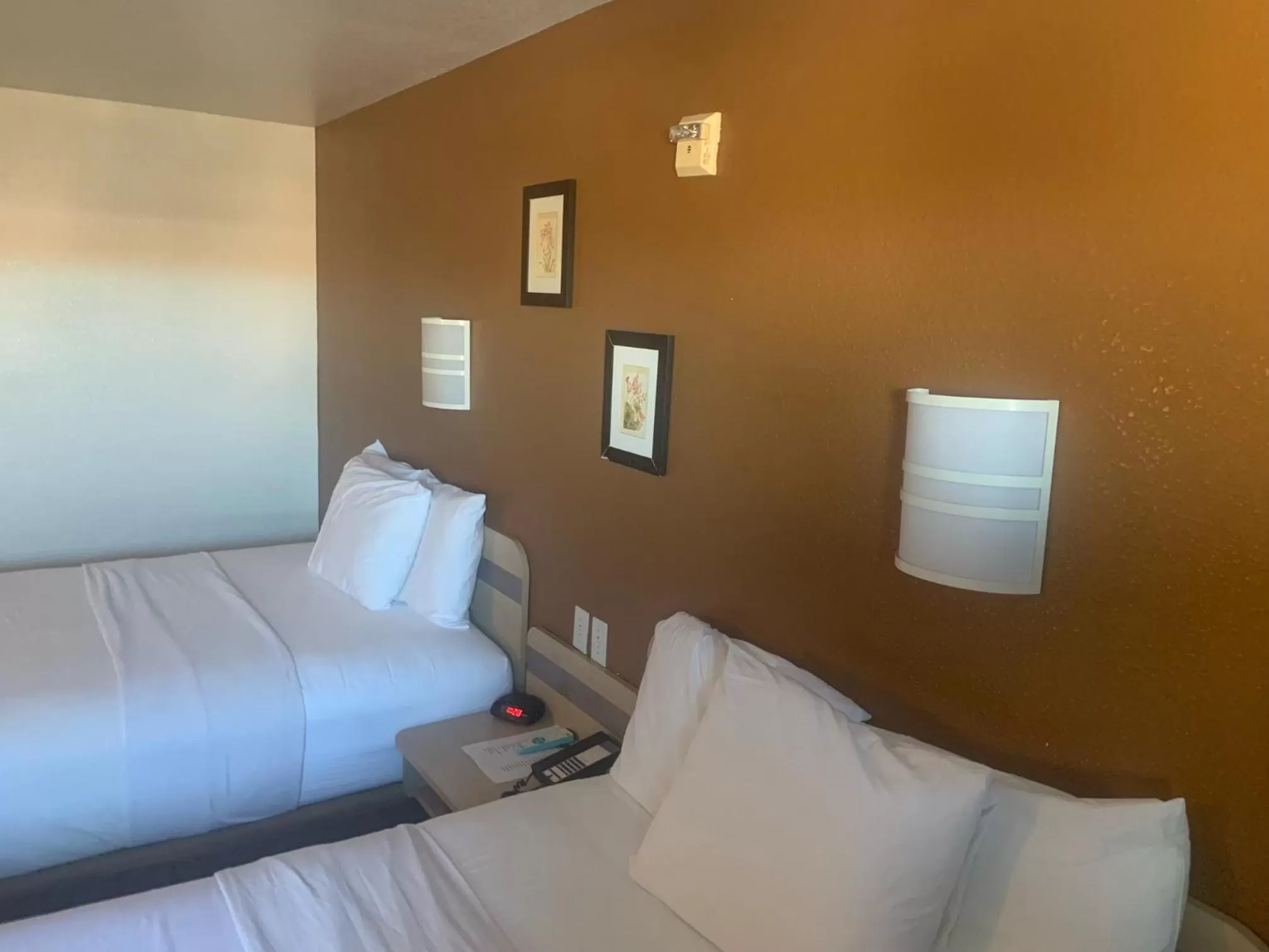 Bedroom, Bed in Quality Inn Yuba City-Marysville