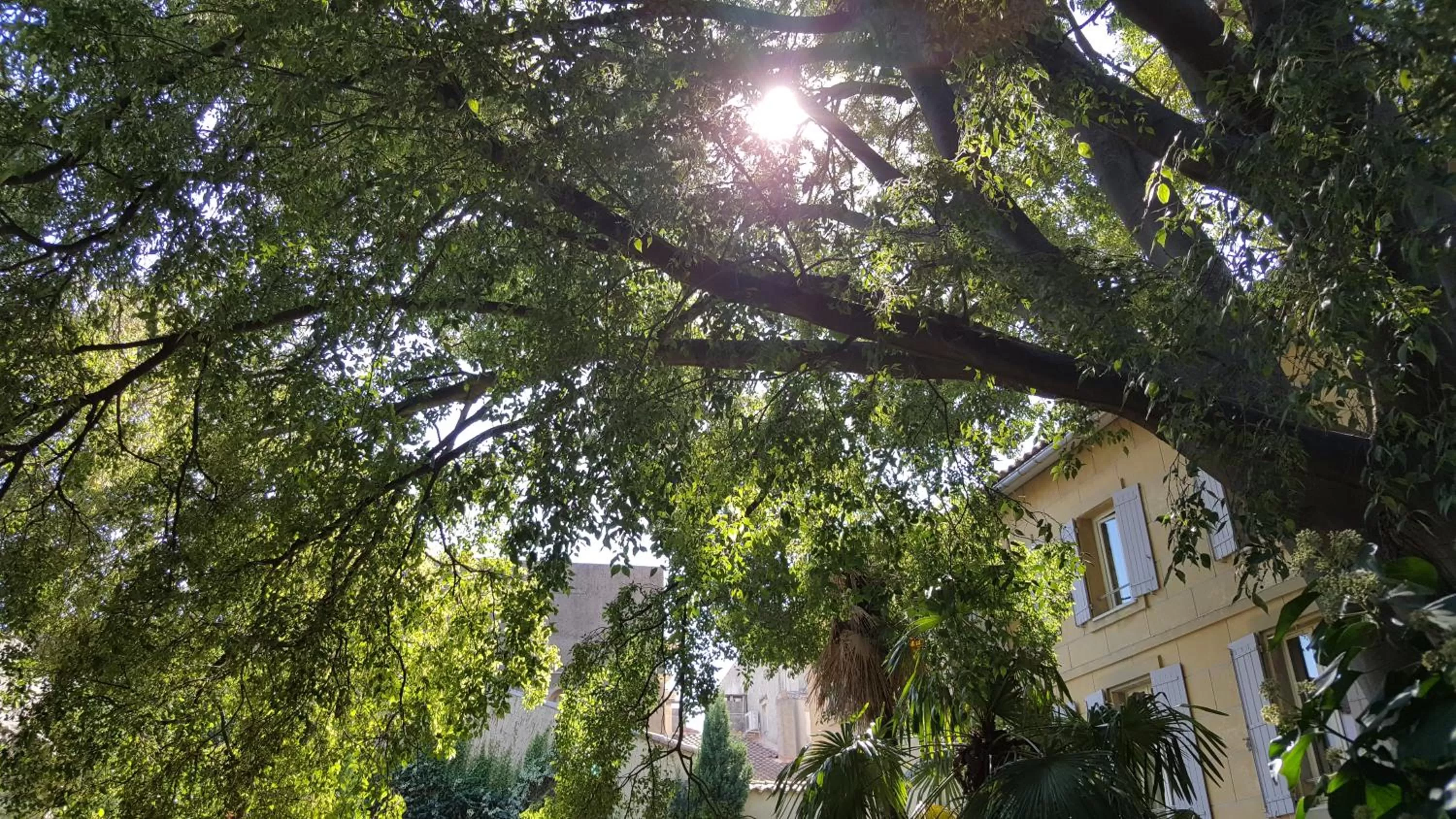 Patio in Hotel Spa Le Calendal