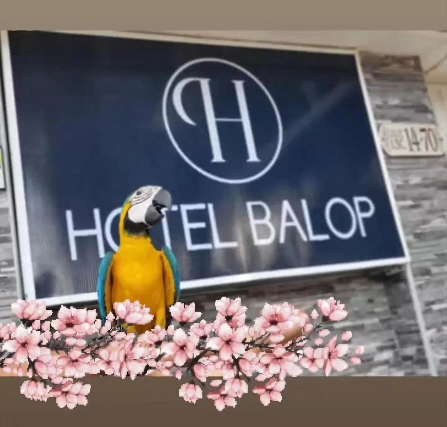 Property building in HOTEL BOUTIQUE SONNE BALOP Valledupar