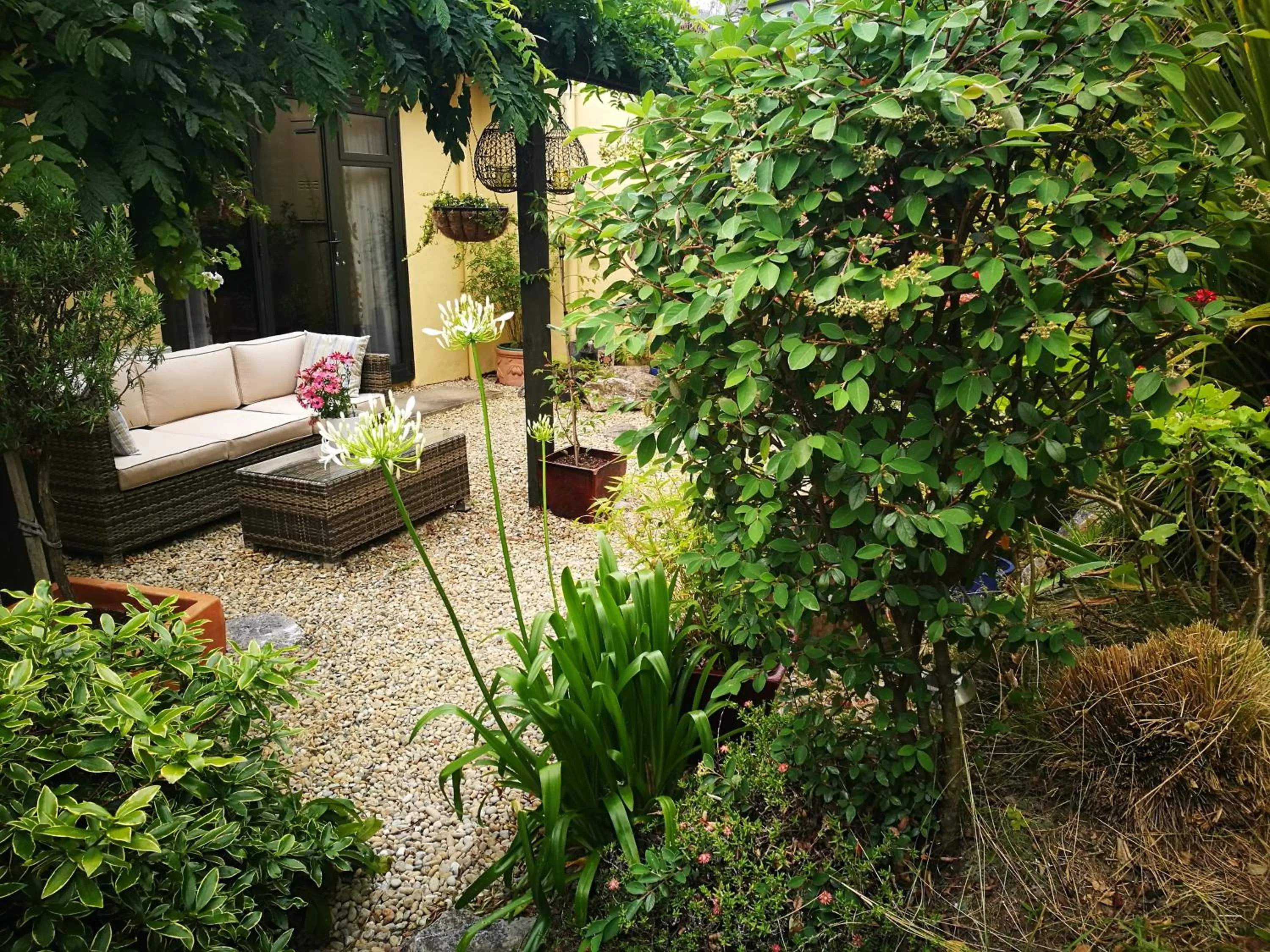 Garden in Hazelwood Mapua