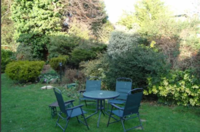 Garden in Best Inn Hotel