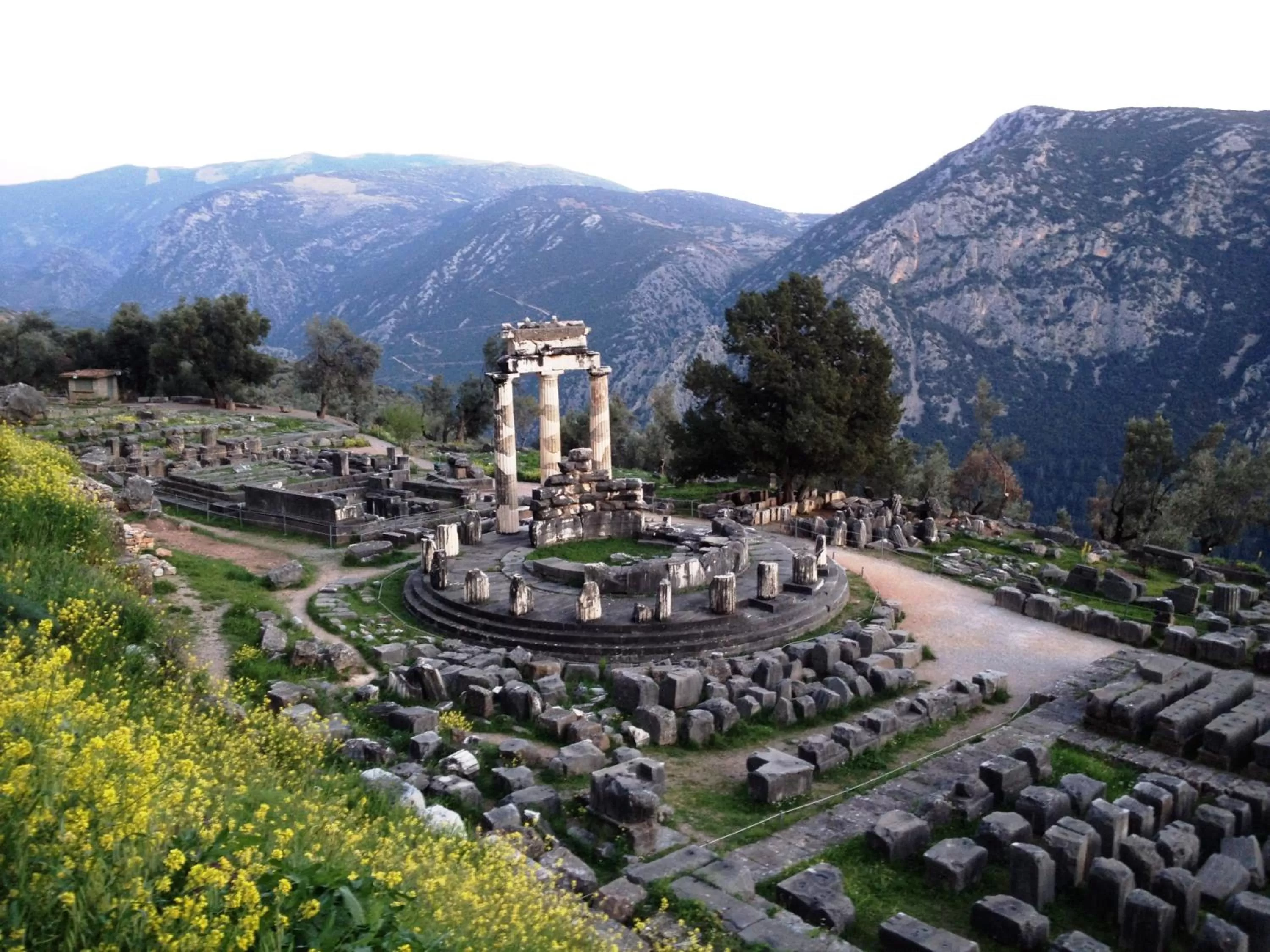 Natural landscape in Parnassos Delphi Hotel