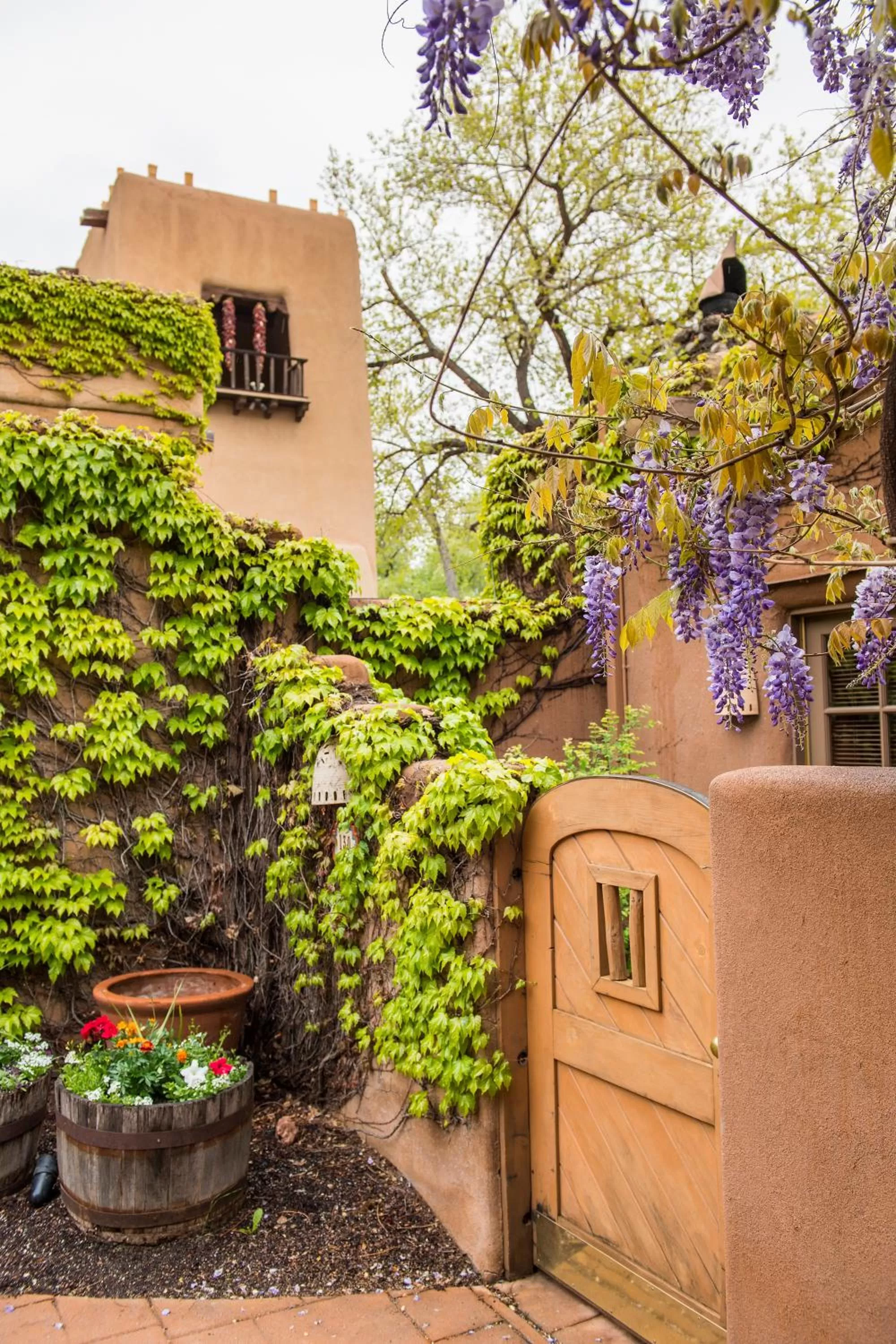 Property building in Inn on the Alameda