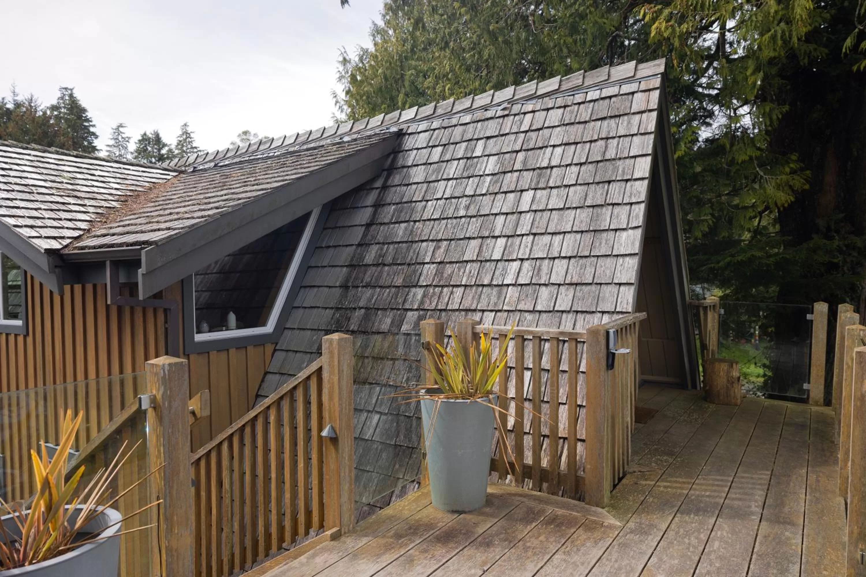 The Shoreline Tofino