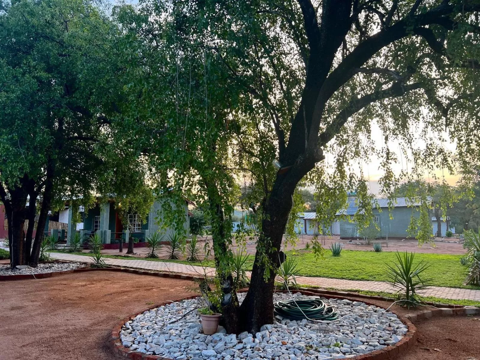 Garden in Abenab Lodge & Tours cc