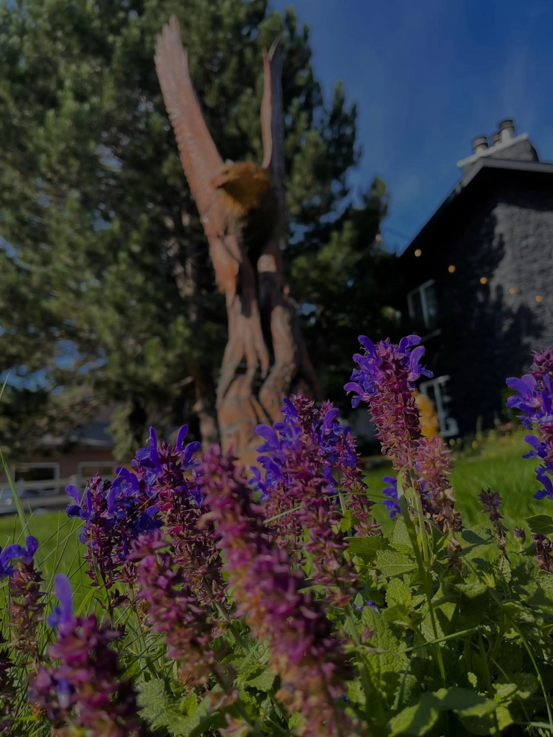 Garden view in Chalet Inn