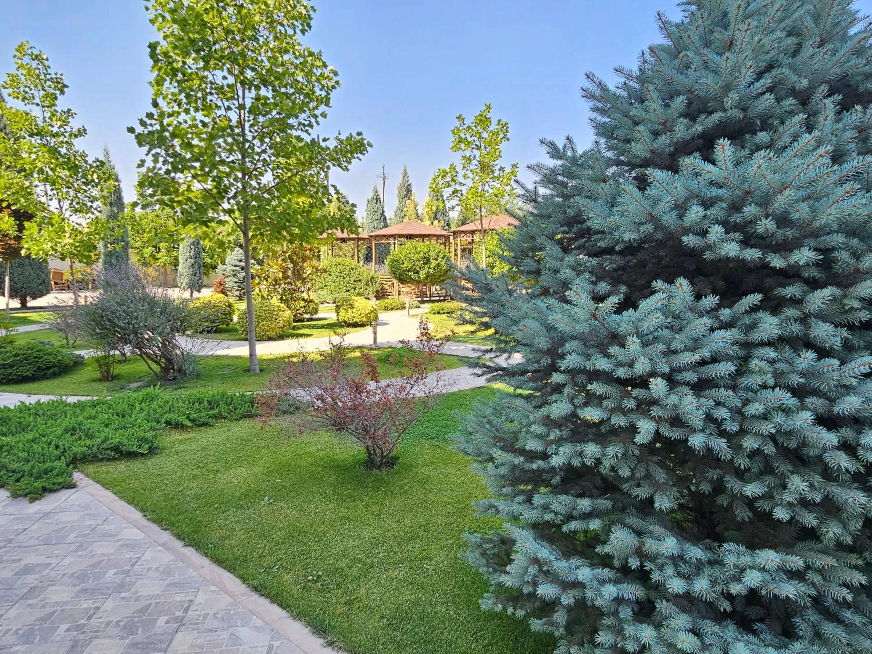 Natural landscape in Silk Road Kokand Hotel