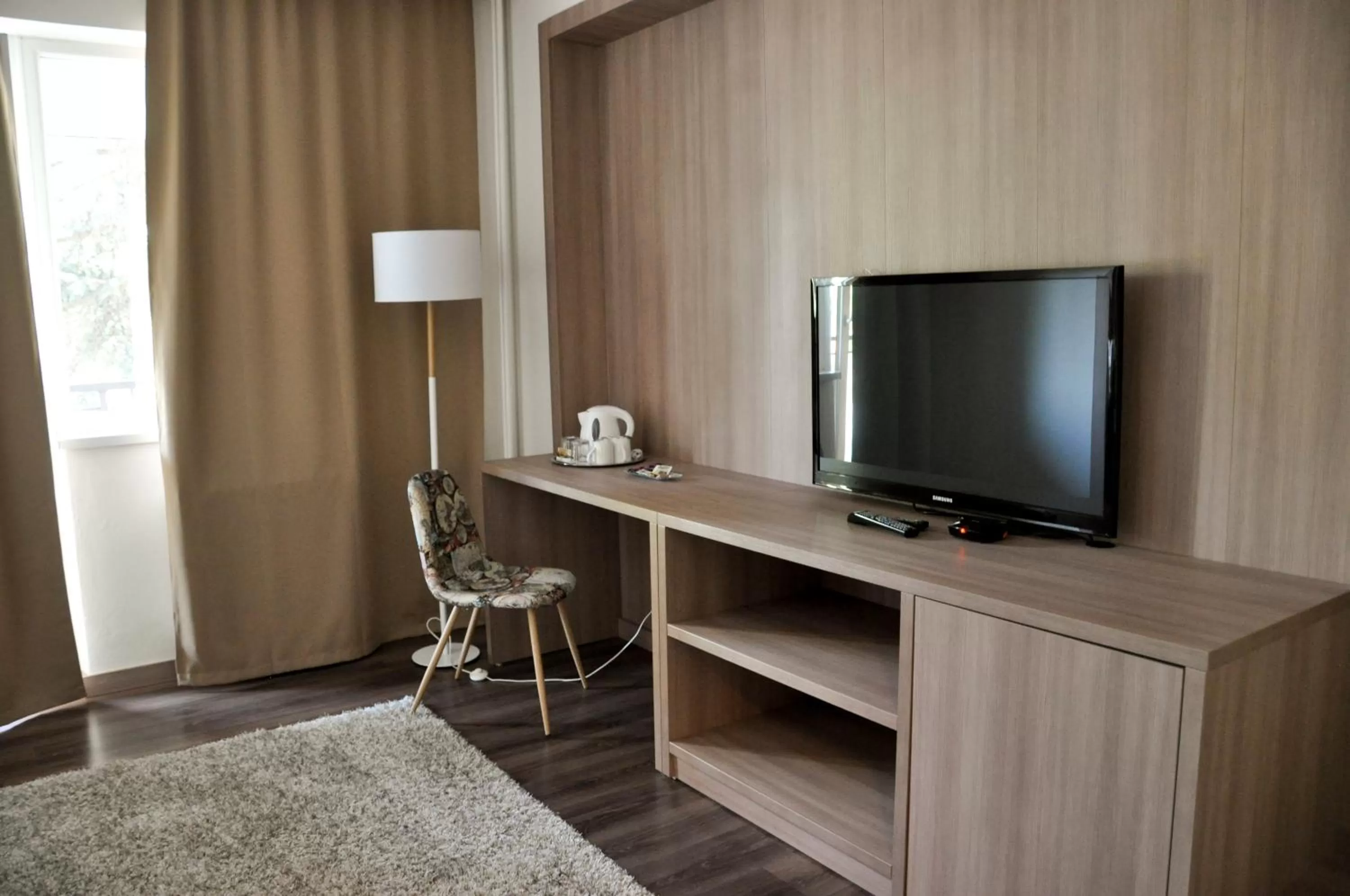 TV and multimedia in Hotel Garni