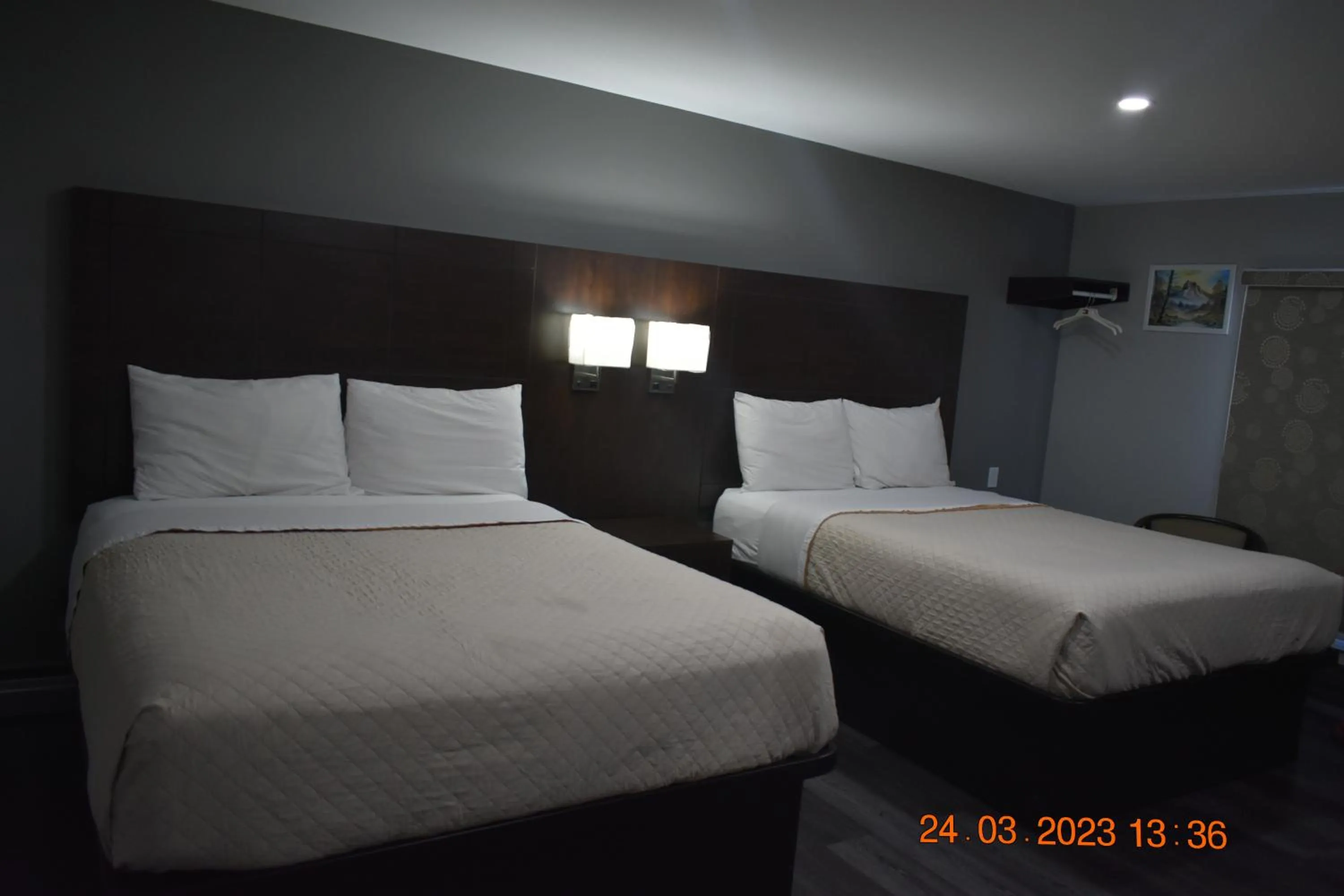 Bed in Time Travellers Motel