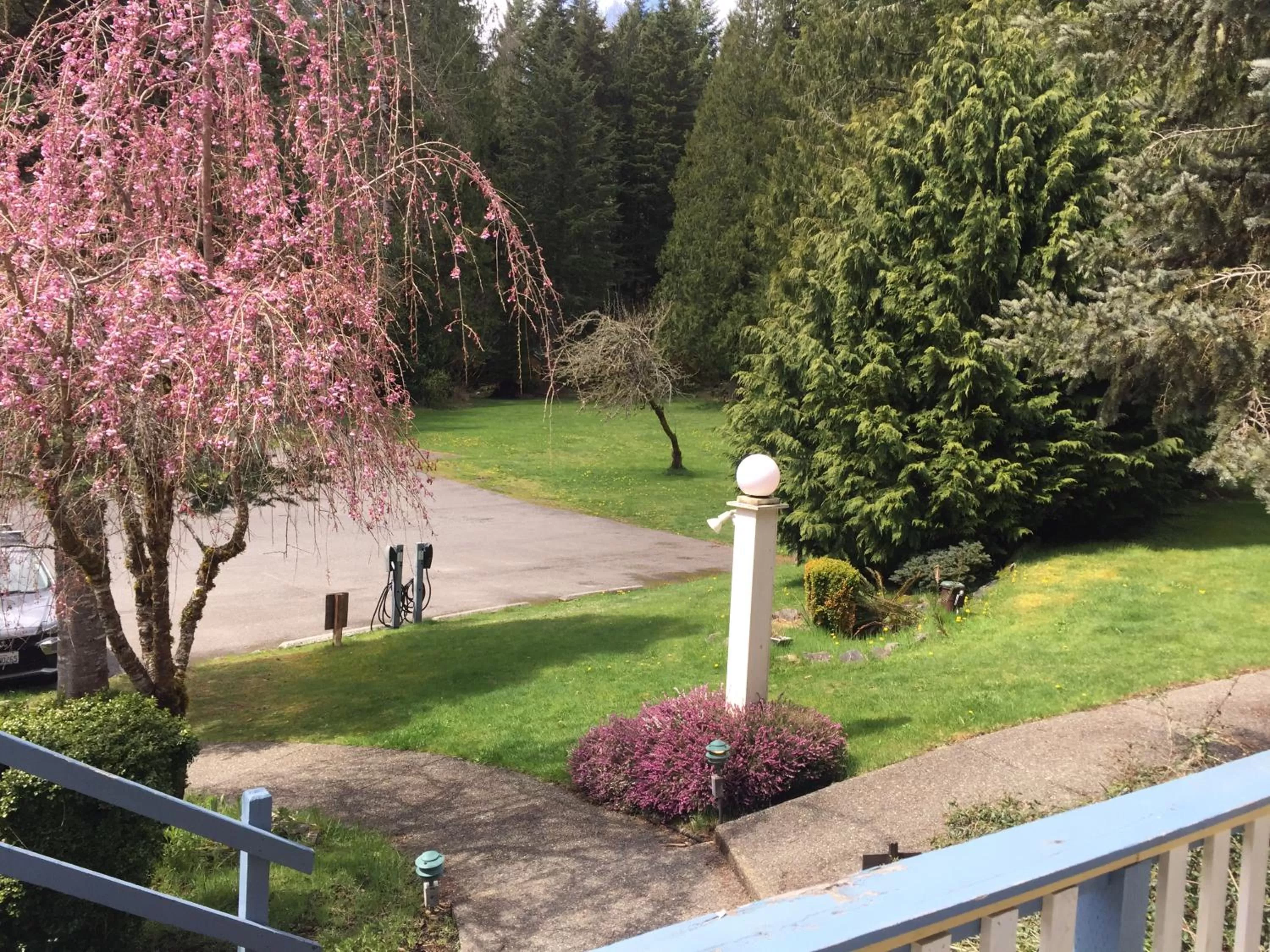 Garden view in Alexander's Lodge