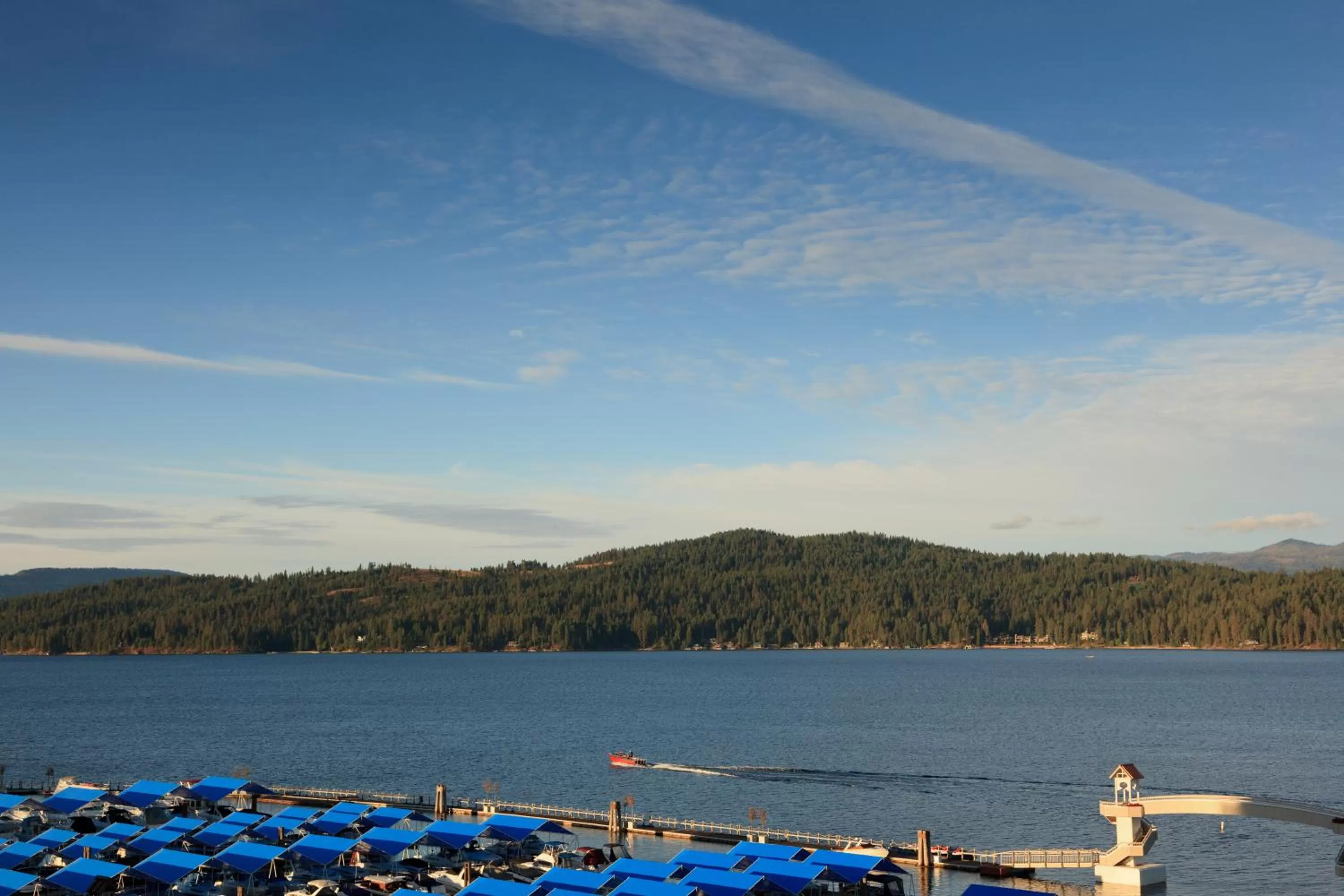 Sea view in The Roosevelt Inn