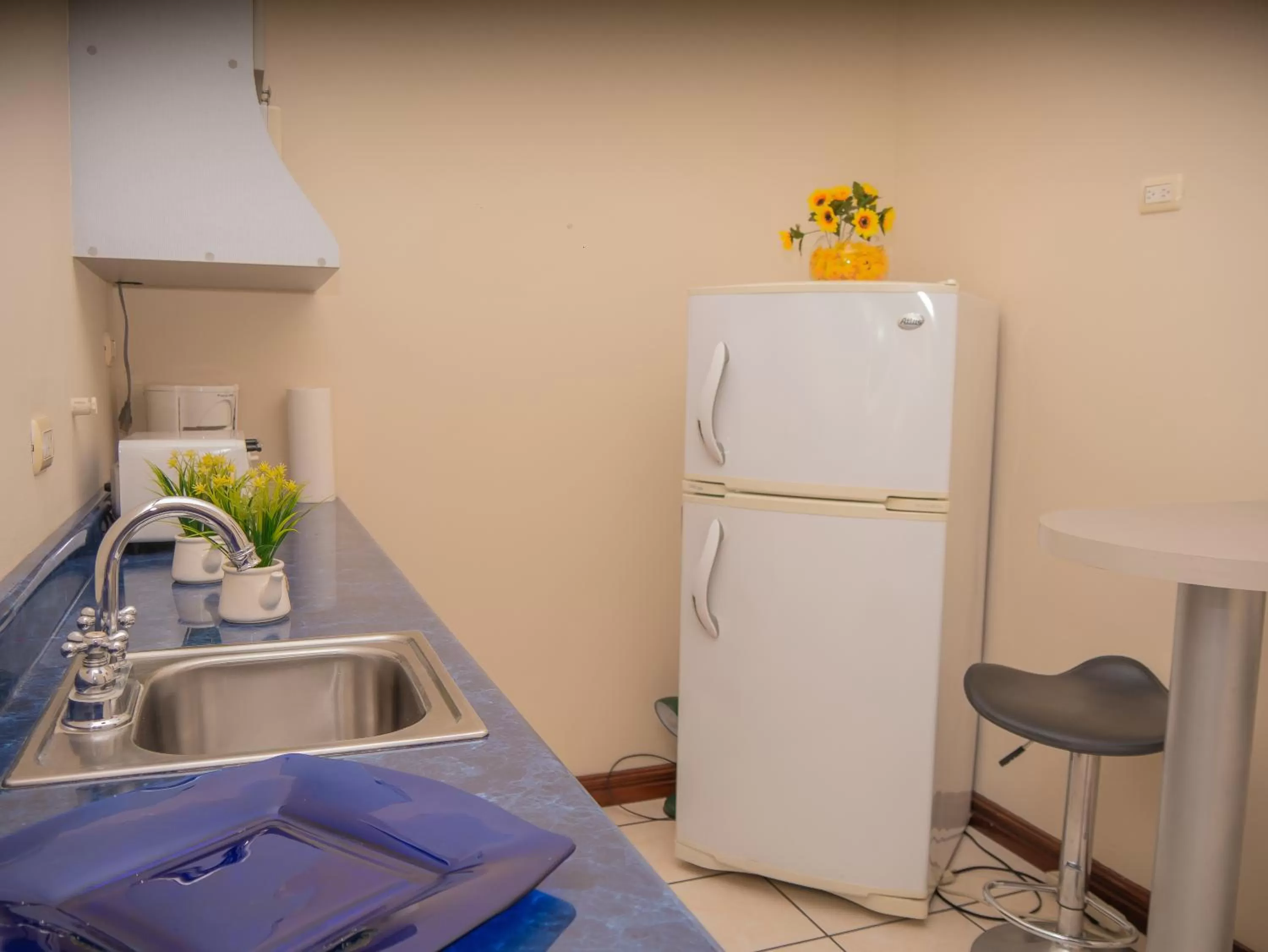 Kitchen or kitchenette in Hotel Bamboo Aeropuerto