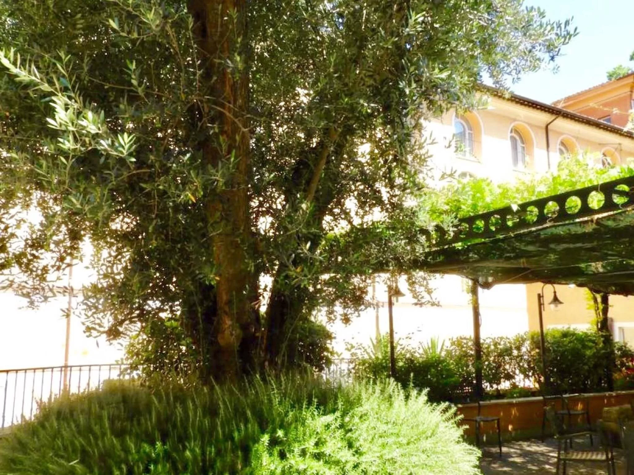 Day in Basilica Hotel