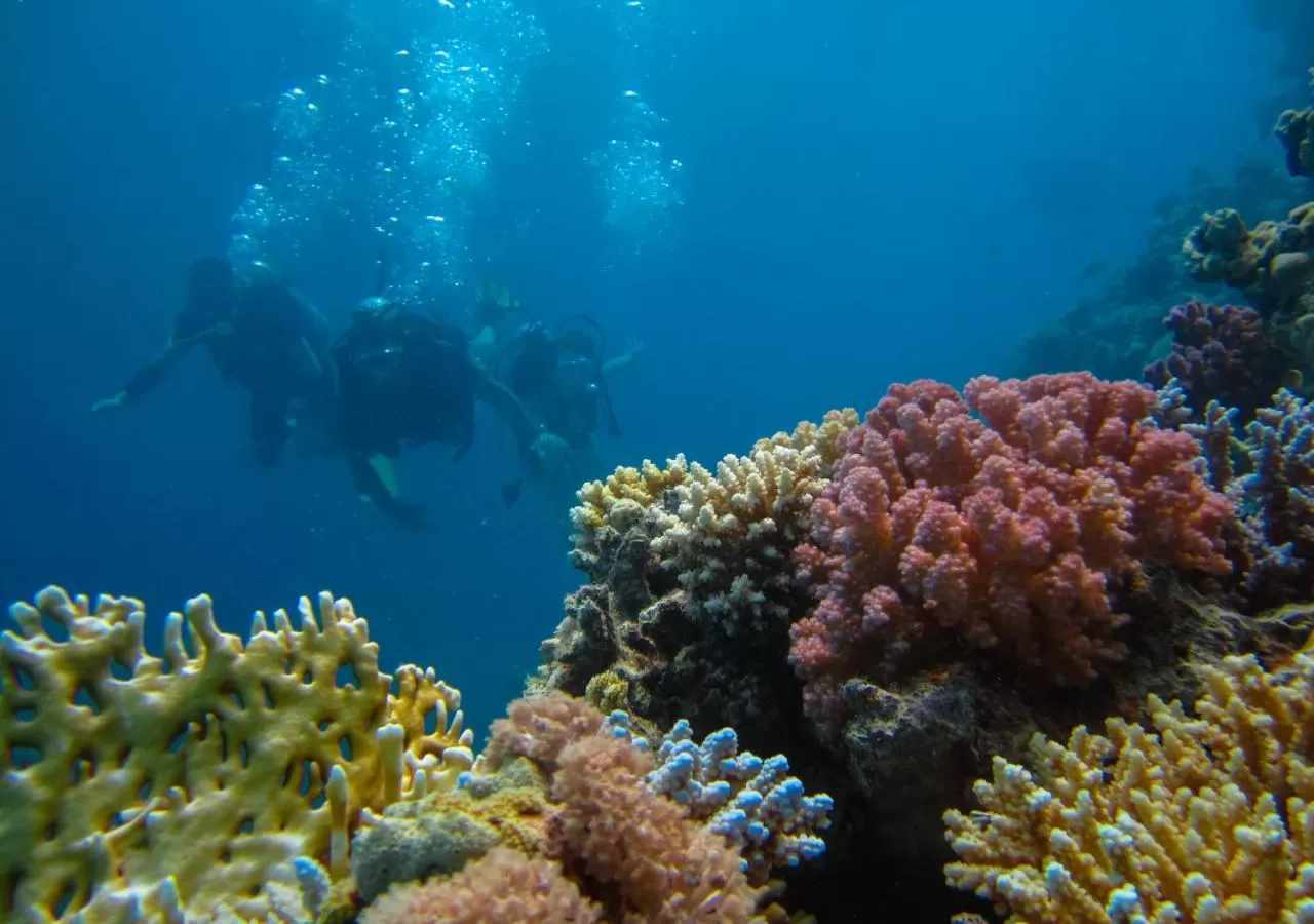 Activities in Sahara Hotel Eilat