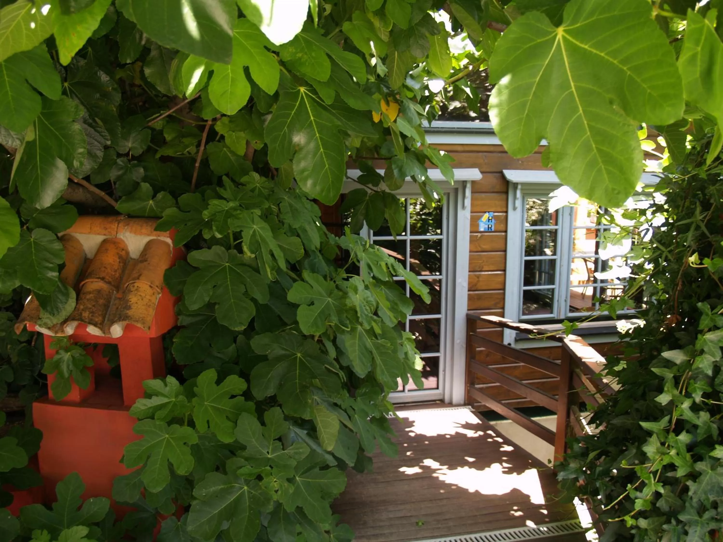 Area and facilities in Mesón de Sancho