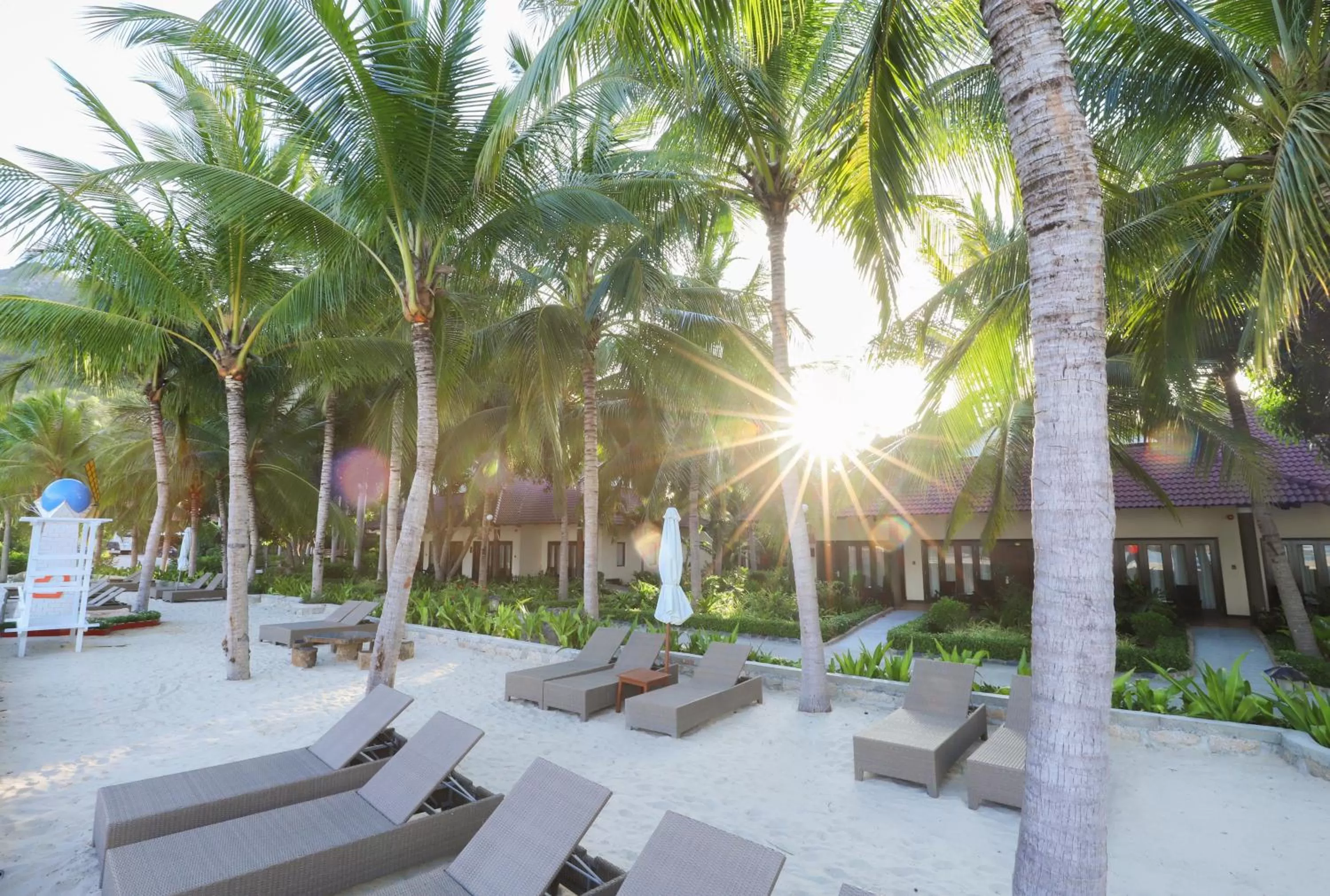 Beach in Diamond Bay Resort & Spa