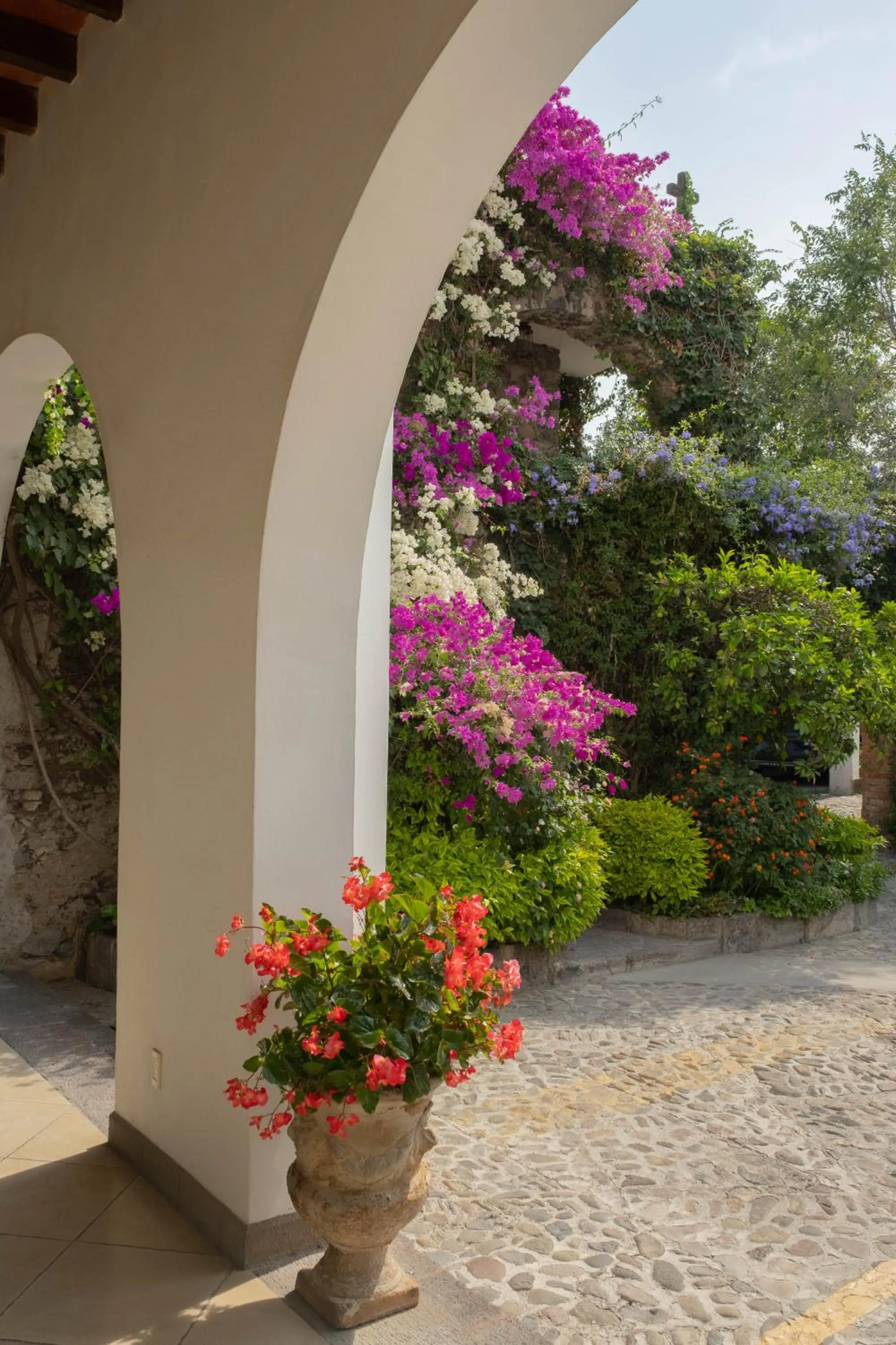 Patio in Hotel Layseca