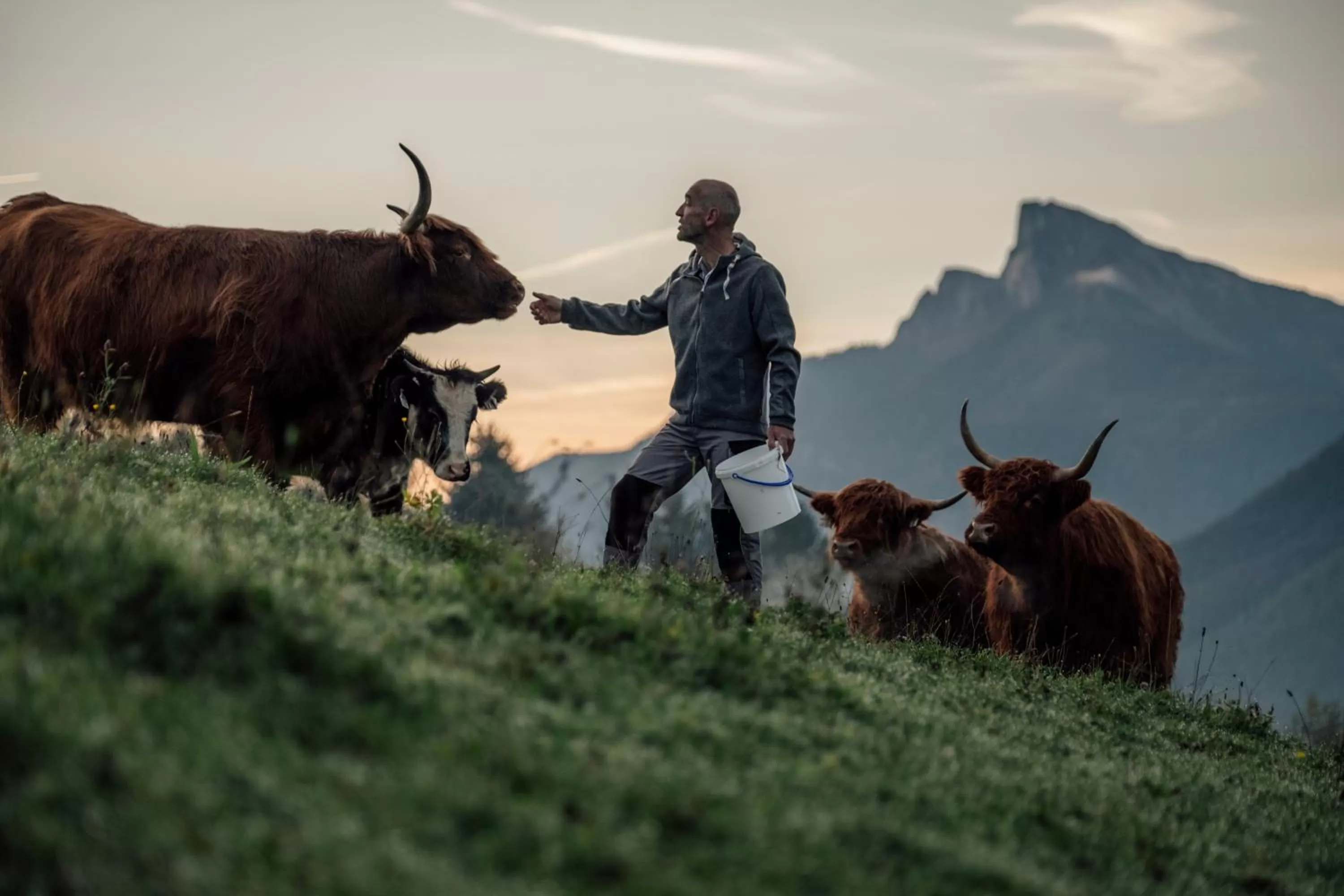 Natural landscape in Hotel Aichingerwirt
