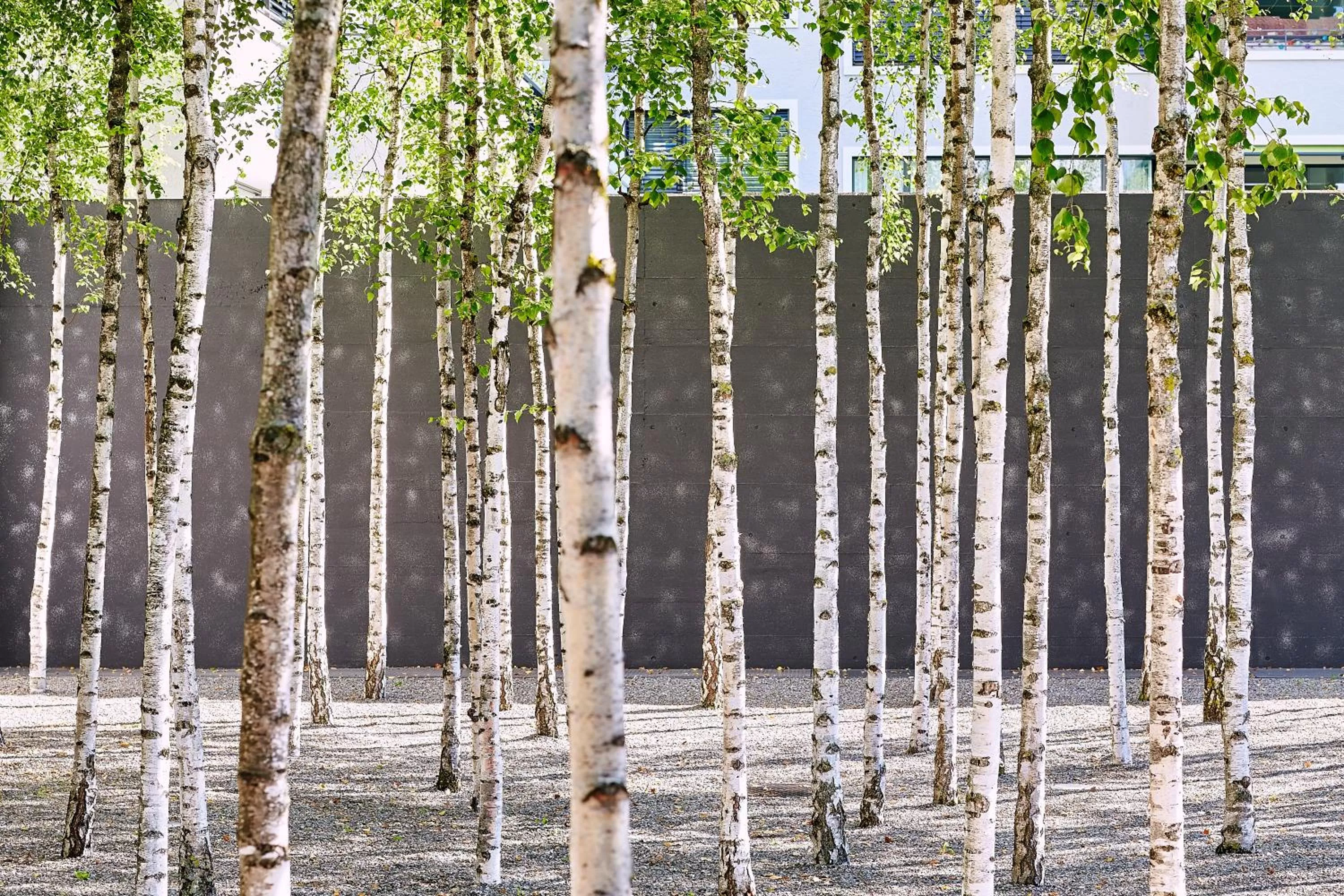 Patio in Greulich Design & Boutique Hotel