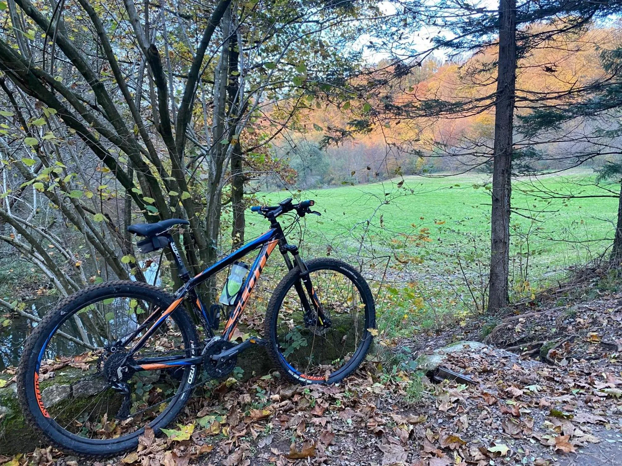Natural landscape in Impero Hotel Beauty & Spa - Bike Hotel