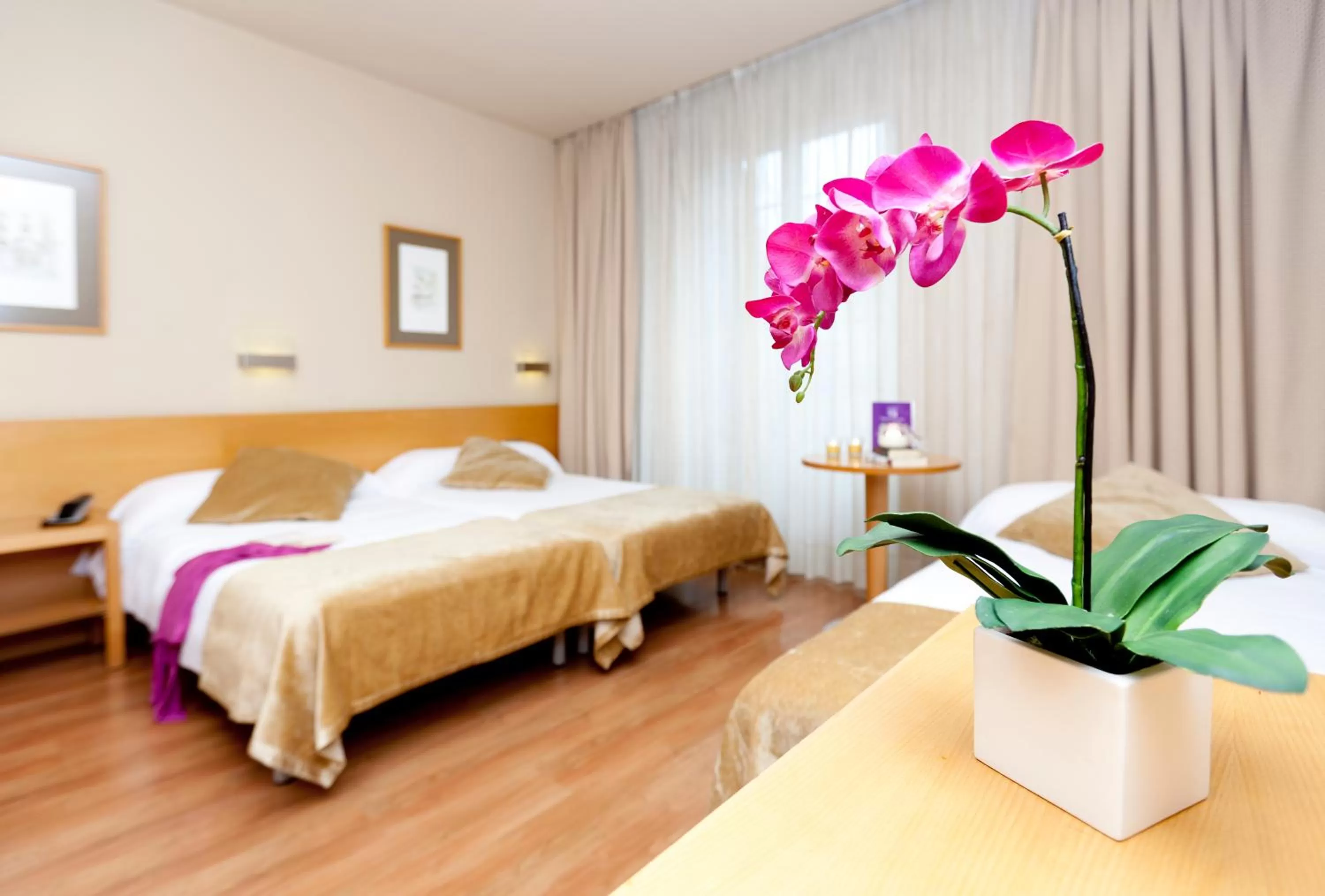 Bedroom, Bed in Victoria 4 Puerta del Sol