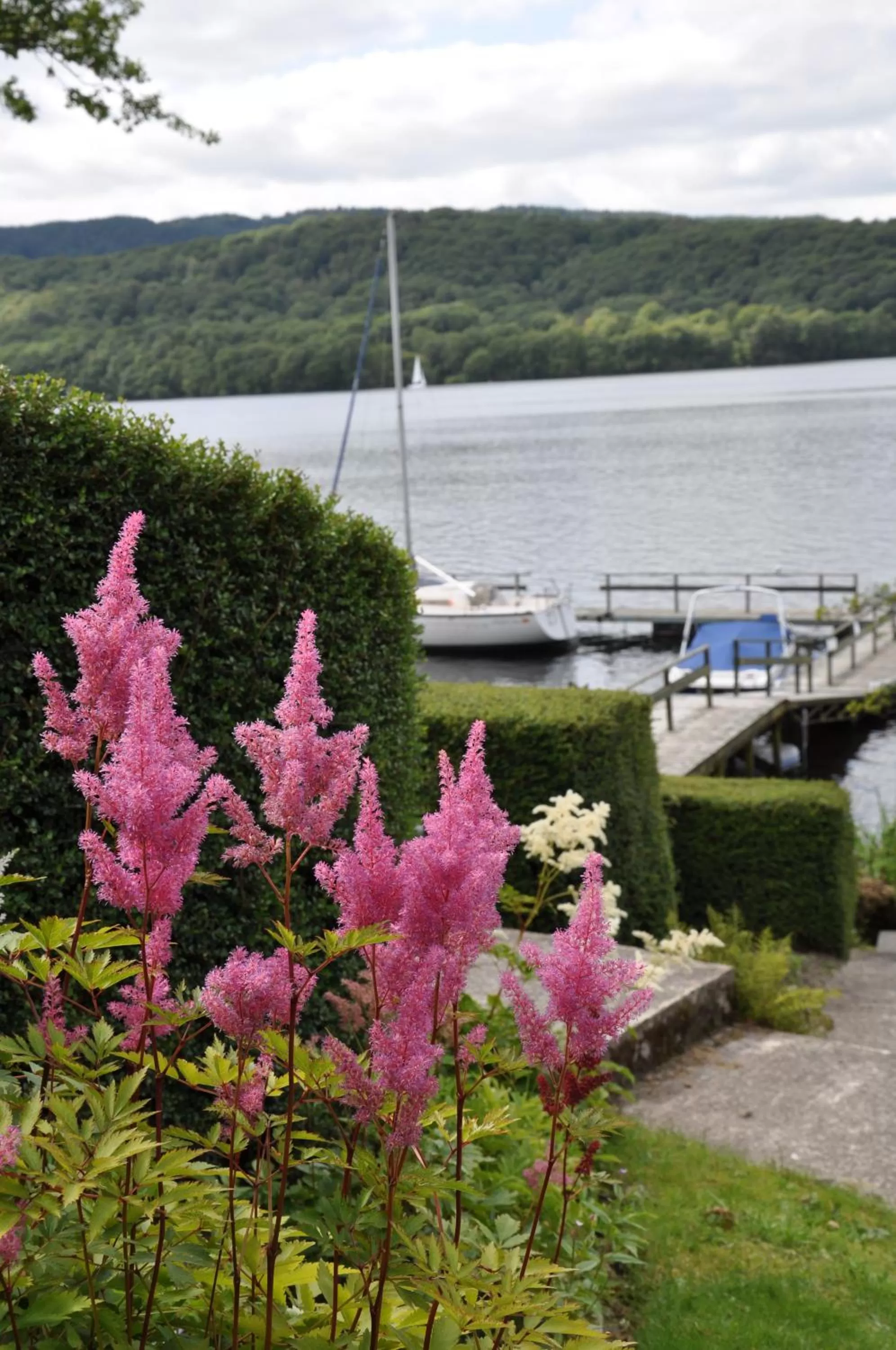 Garden in Beech Hill Hotel & Spa