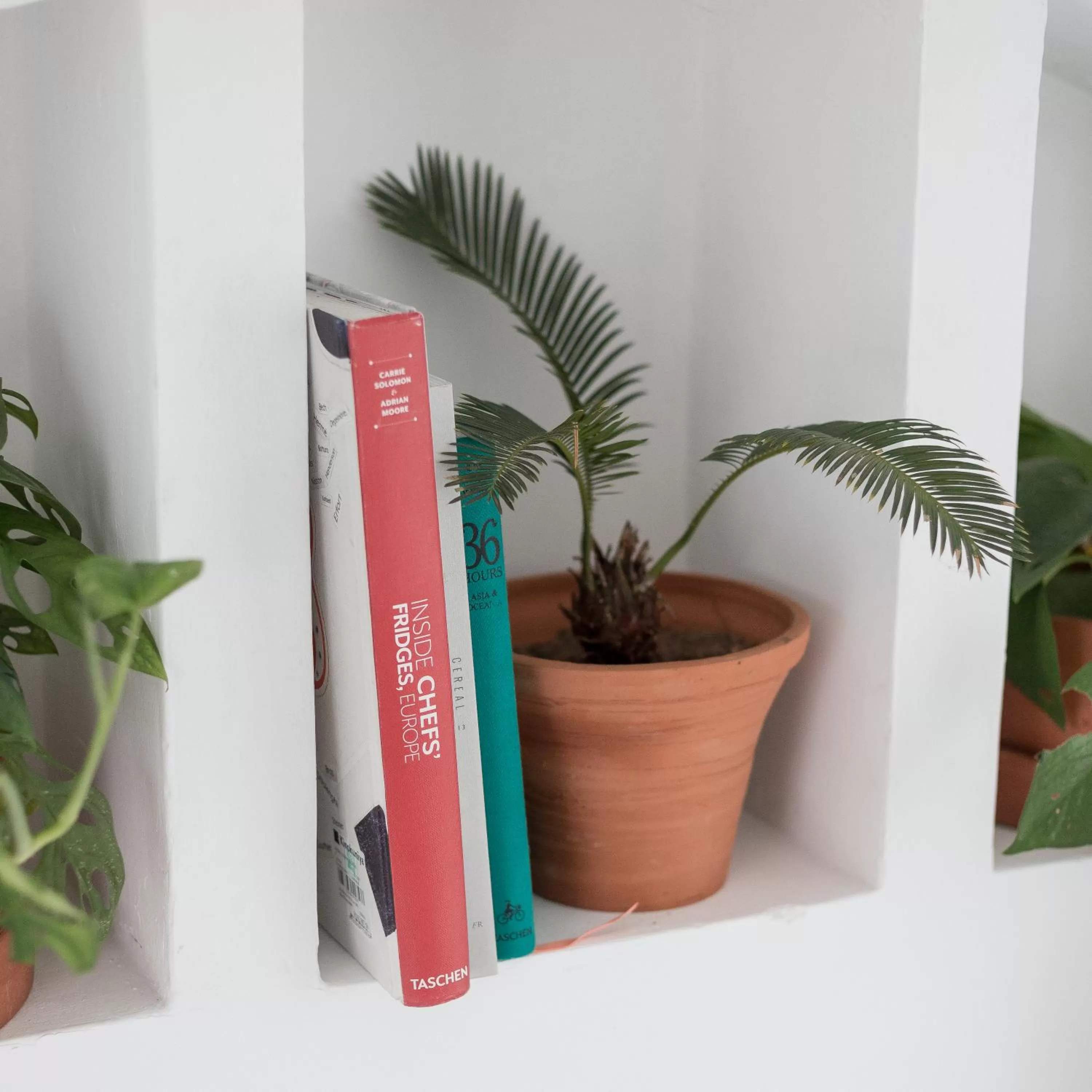 Decorative detail in Srilax