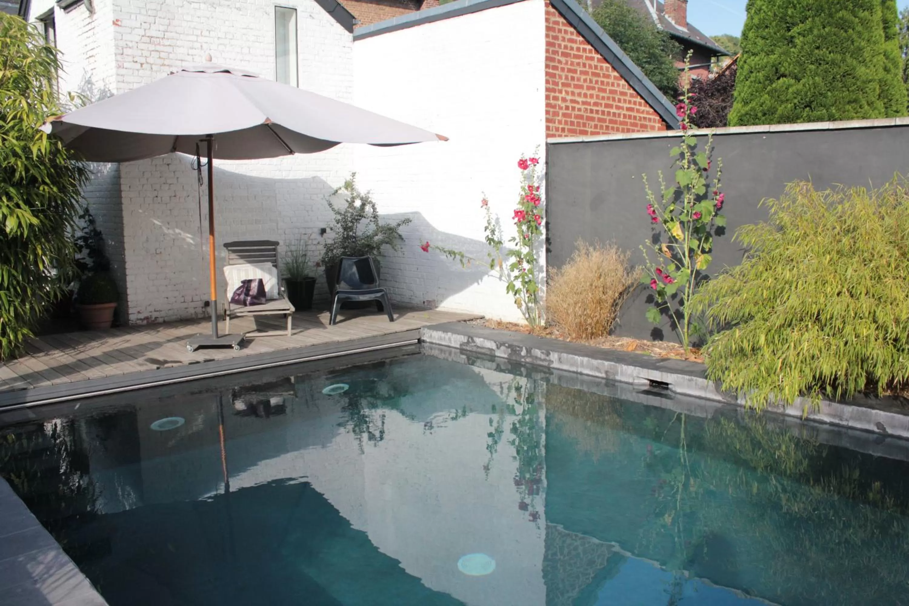 Swimming pool in B&B La Ruelle