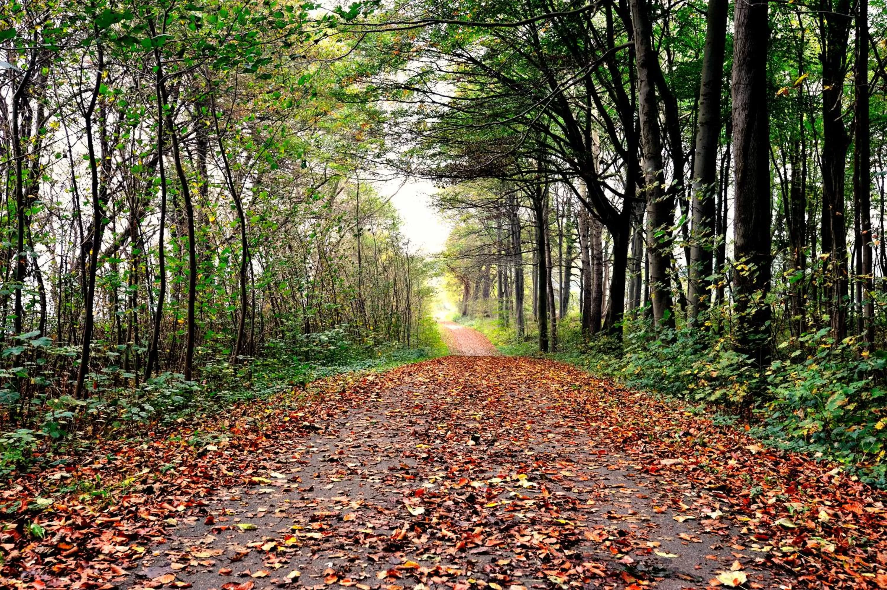 Day in Schlossgut Gross Schwansee
