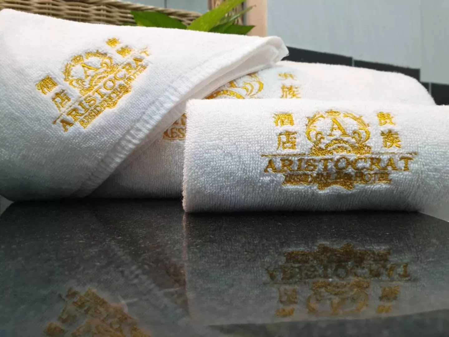 Property logo or sign in Aristocrat Residence & Hotel