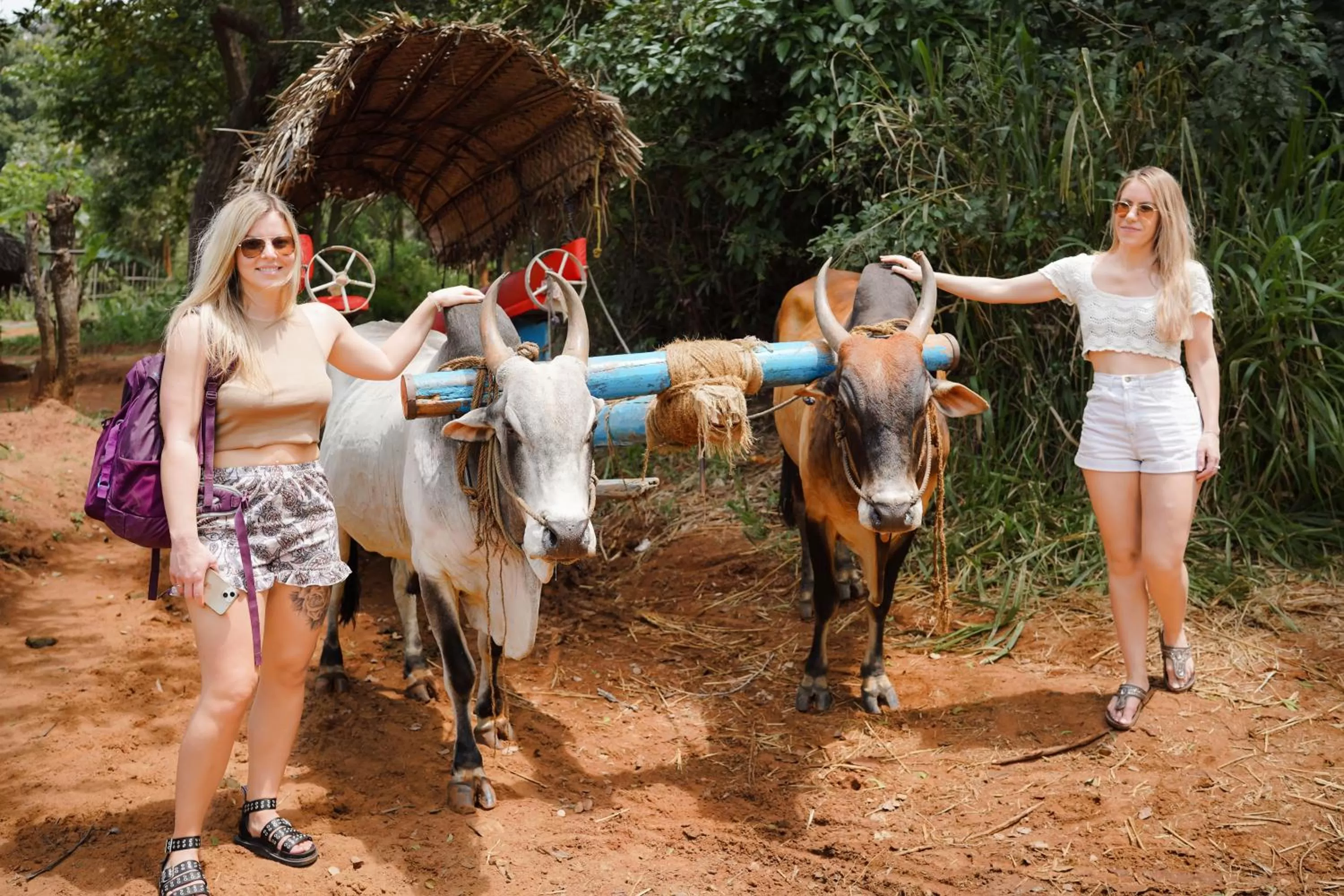 Sigiriya Kingdom Gate Dambulla