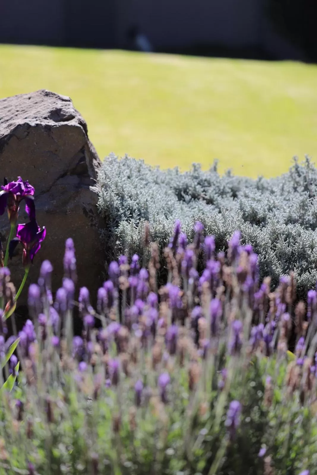 Natural landscape in The Raz