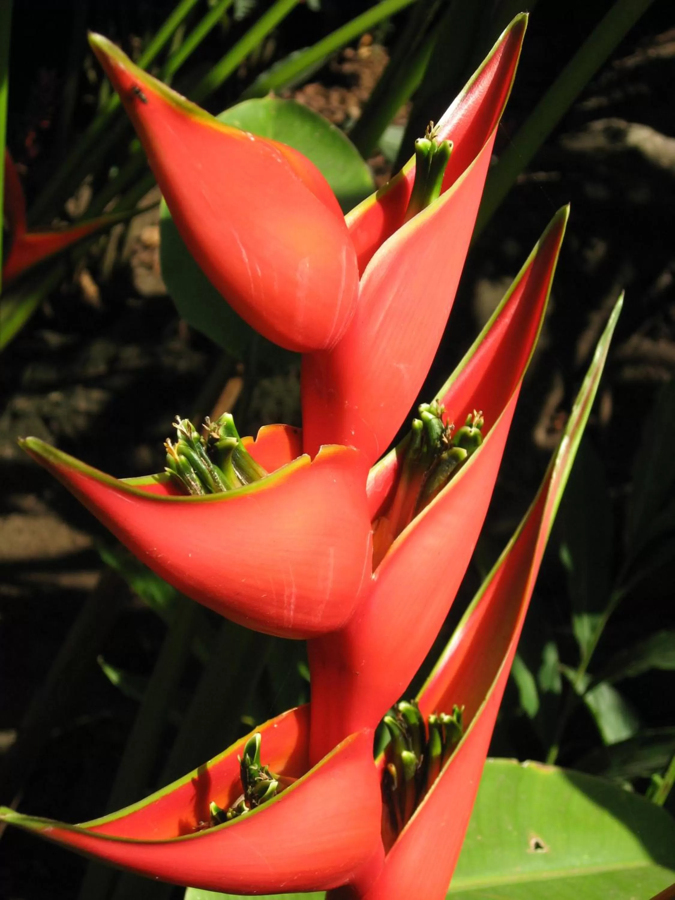 Day in Hotel Pochote Grande