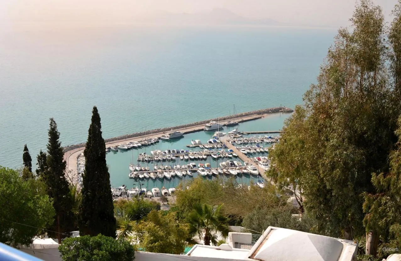 Sea view in La Villa Bleue-Sidi Bou Said