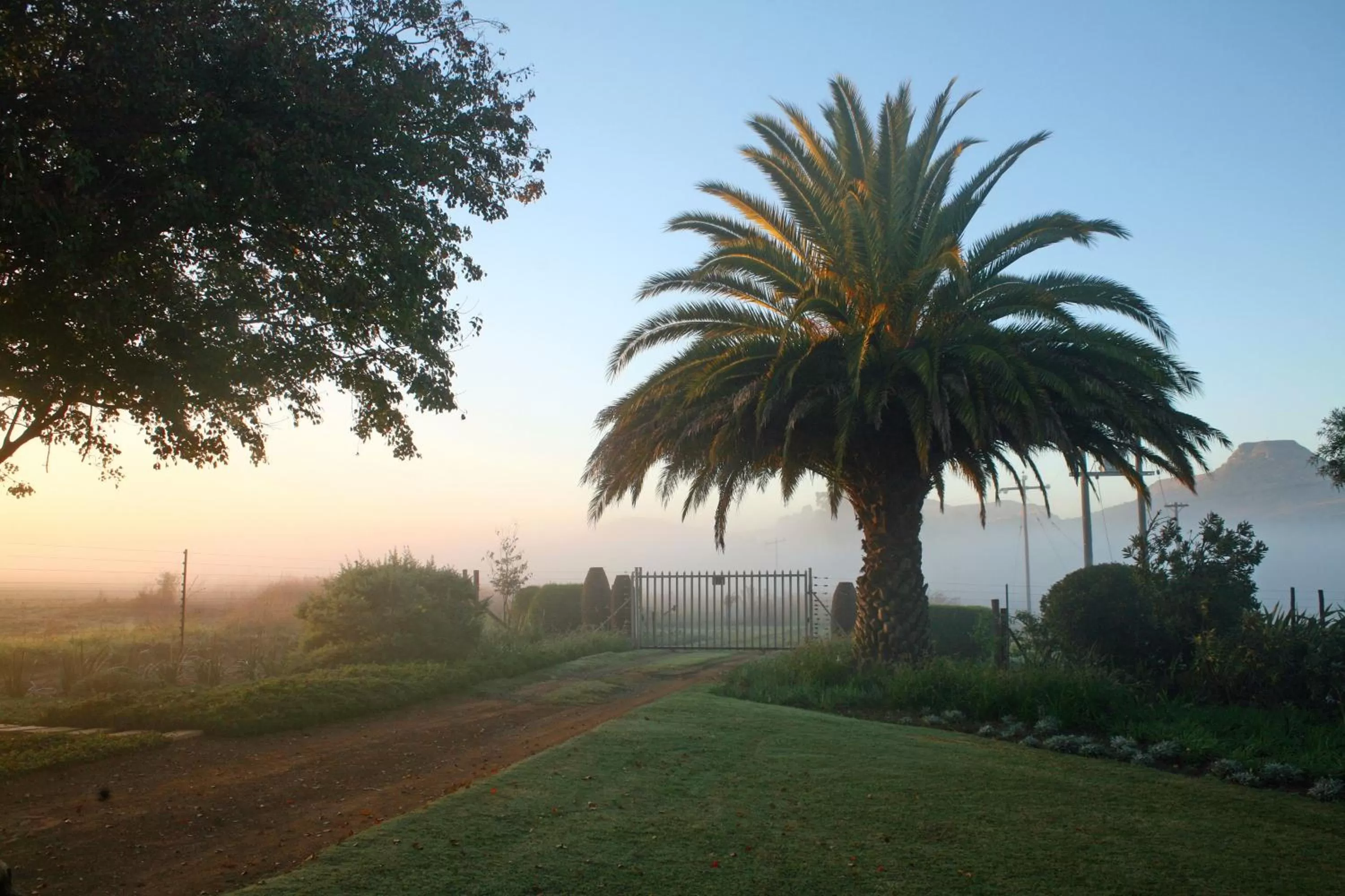 Spring in Sneezewood Farm Bed&Breakfast and Self-Catering Cottage