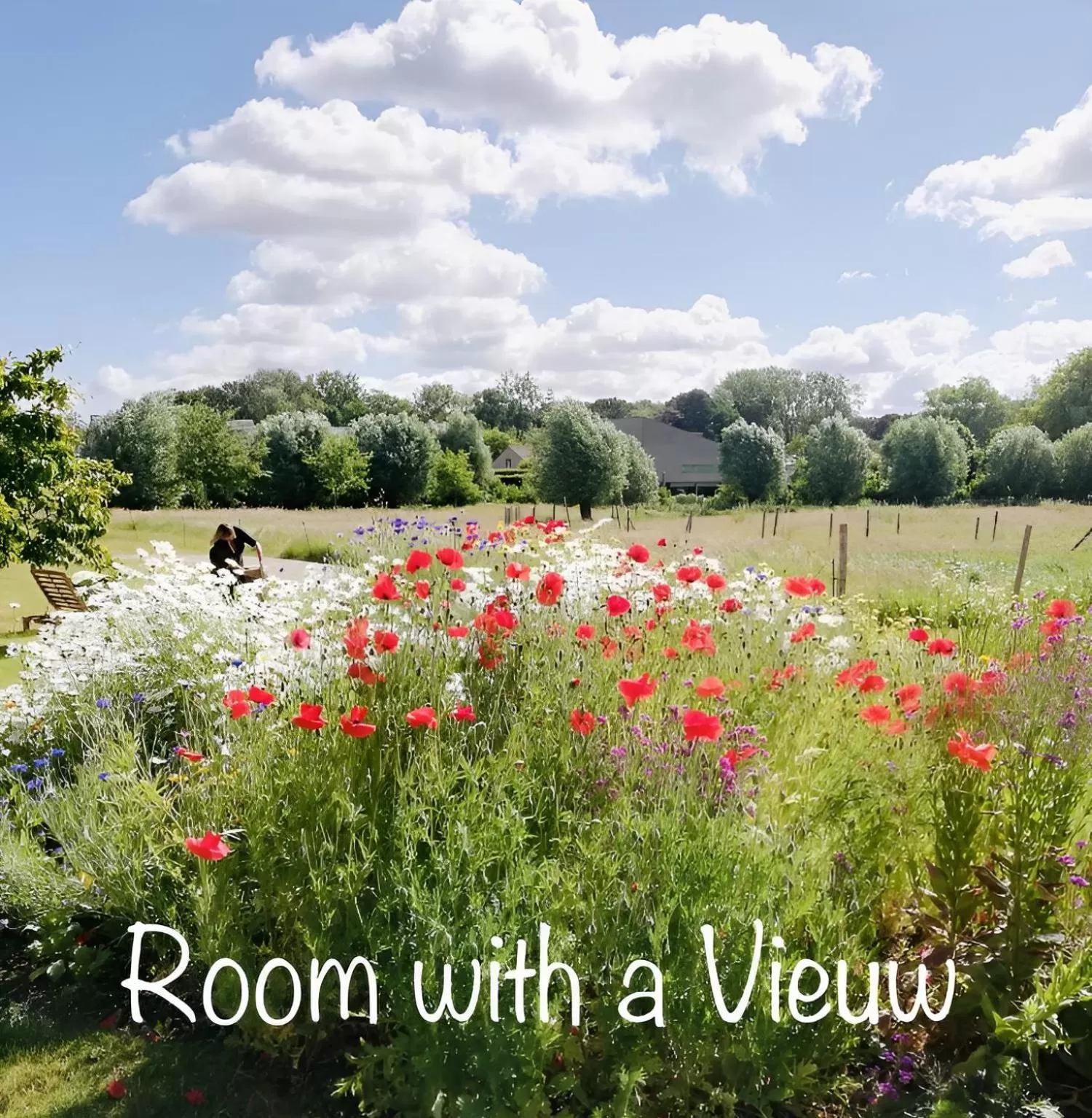 Garden in Kasteelhof van Loppem