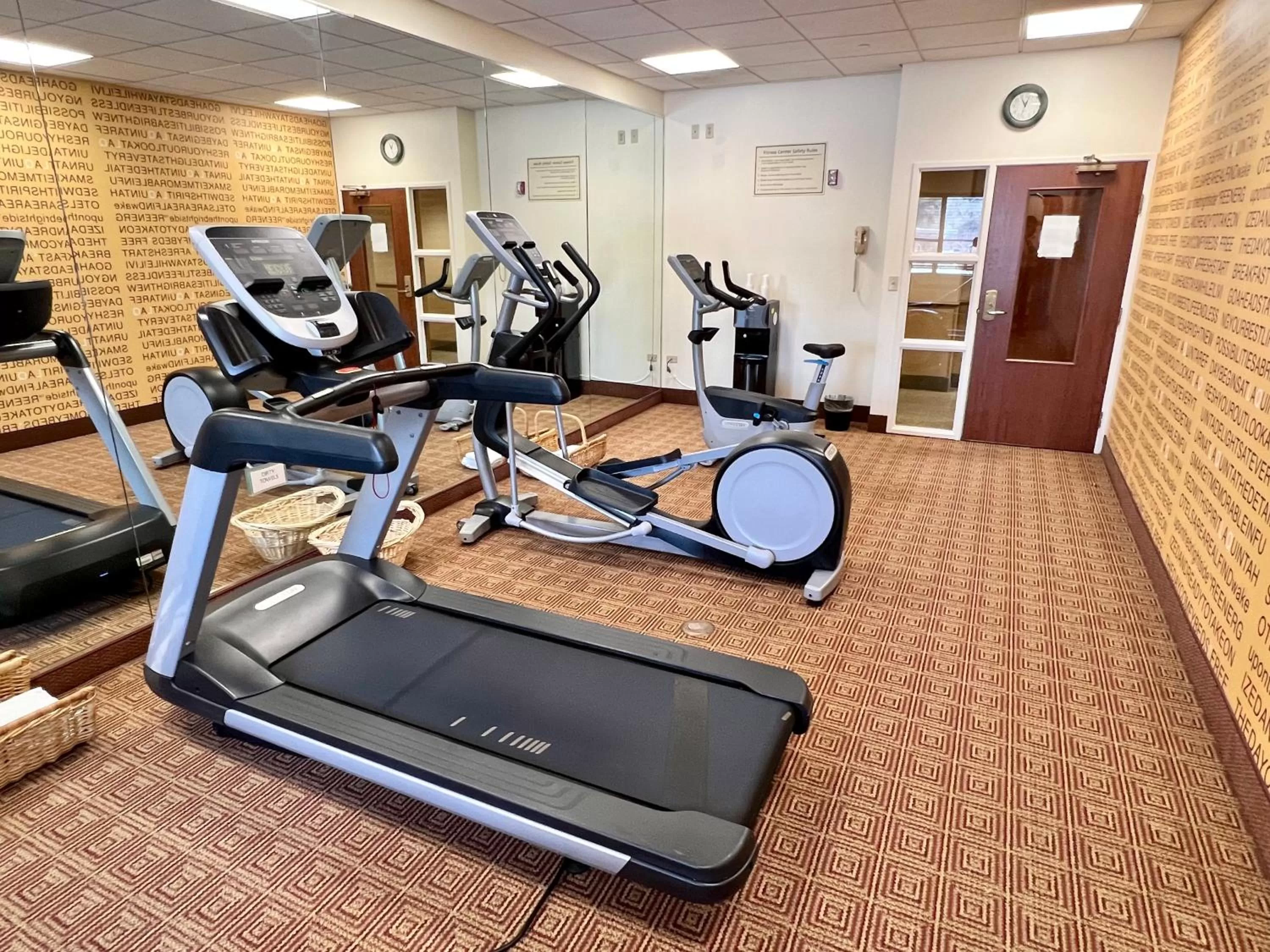 Fitness centre/facilities in La Quinta by Wyndham Bannockburn-Deerfield