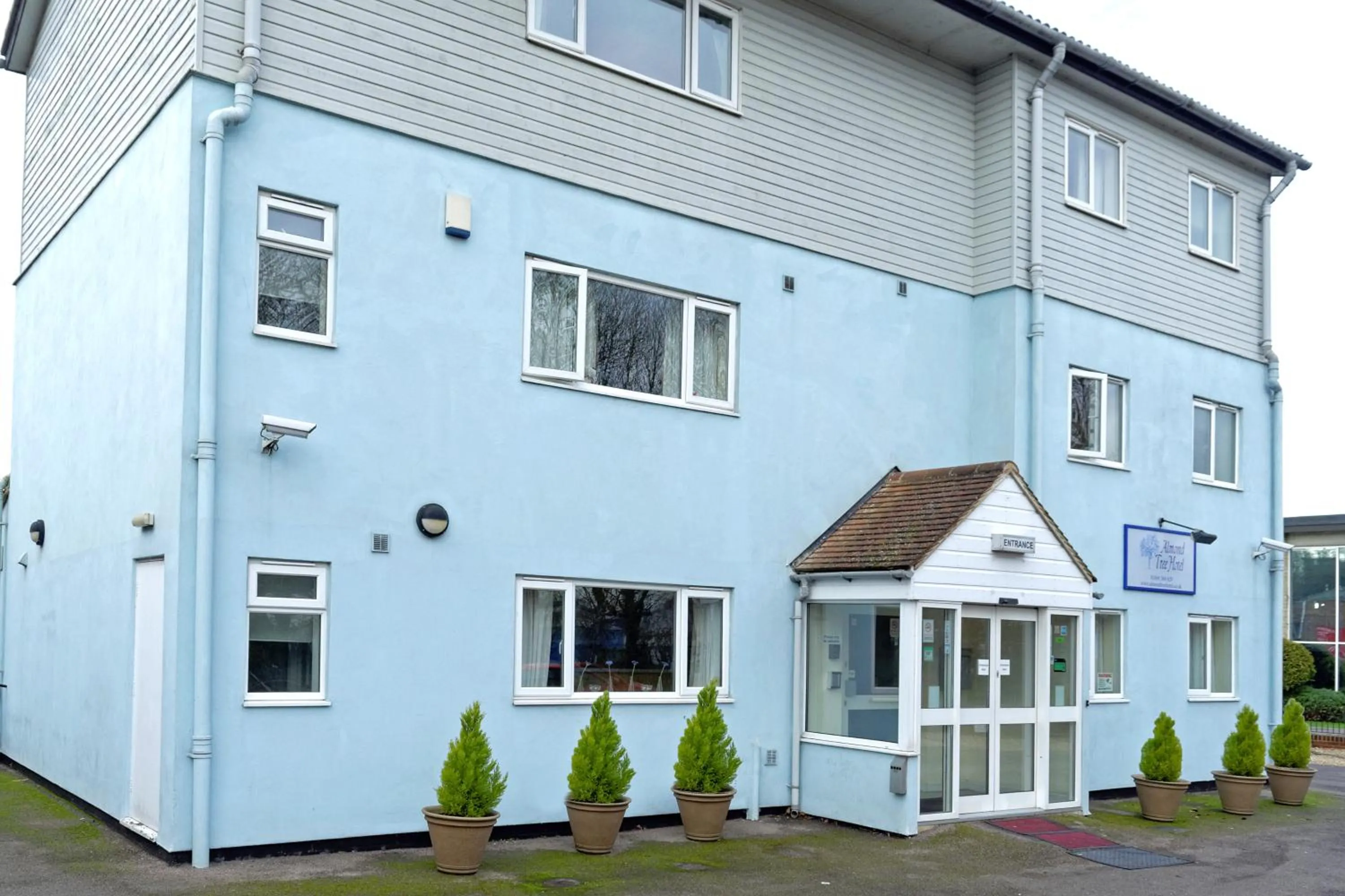 Property Building in Almond Tree Hotel